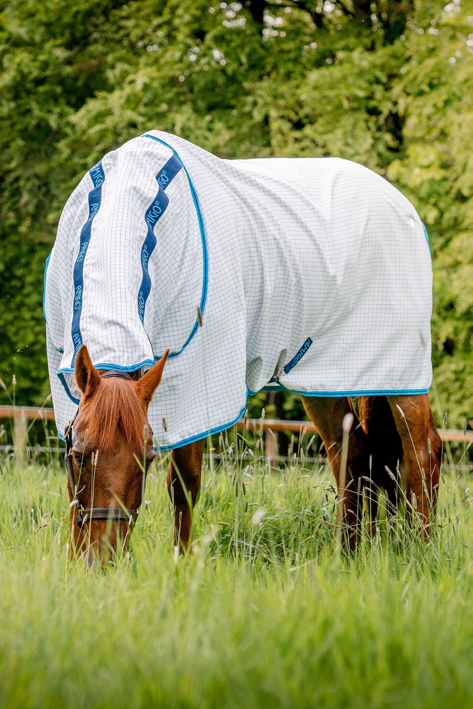 Horseware Amigo Summer Sheet Plus Horse Rugs