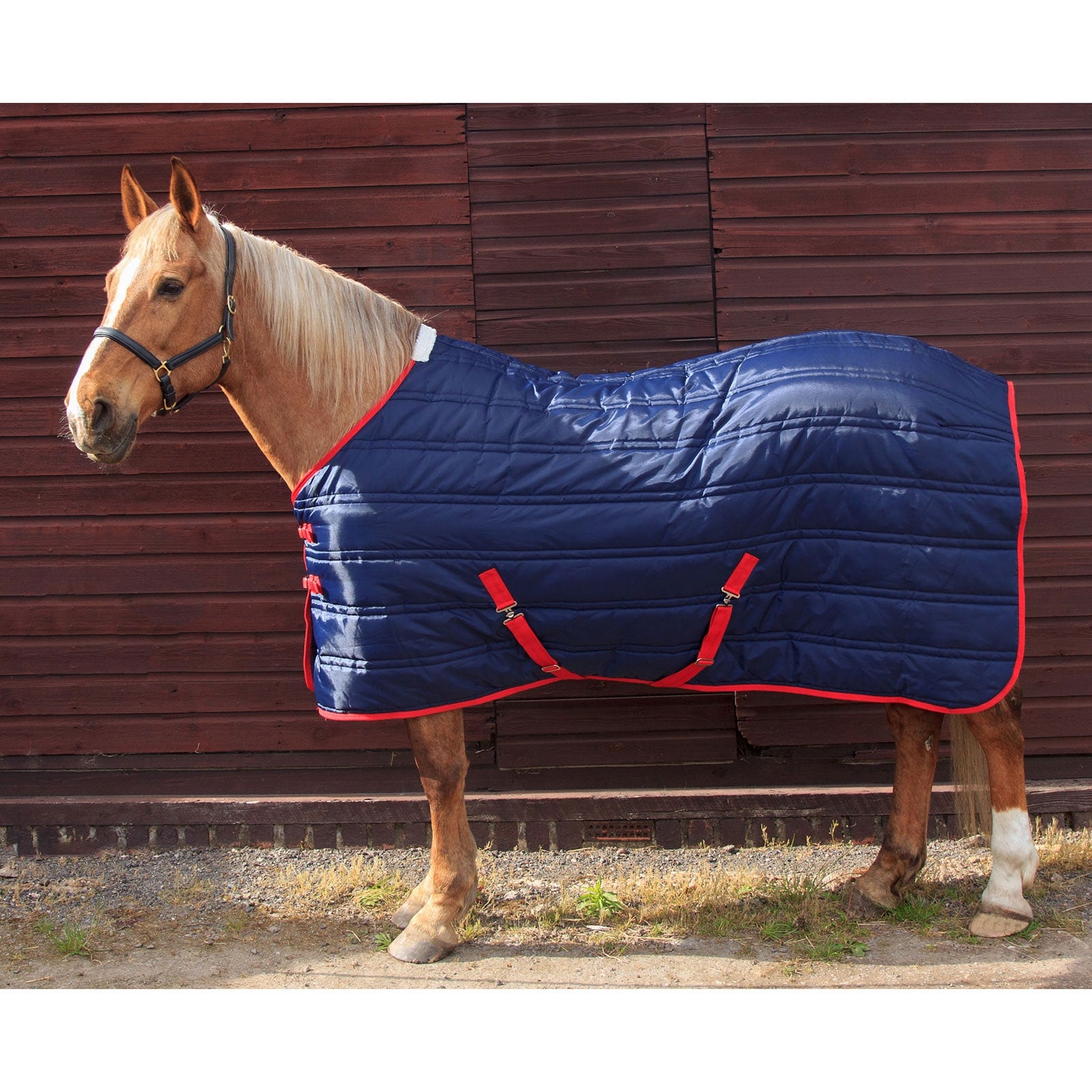 John Whitaker JW Thomas 250g Stable rug Coperte per cavalli