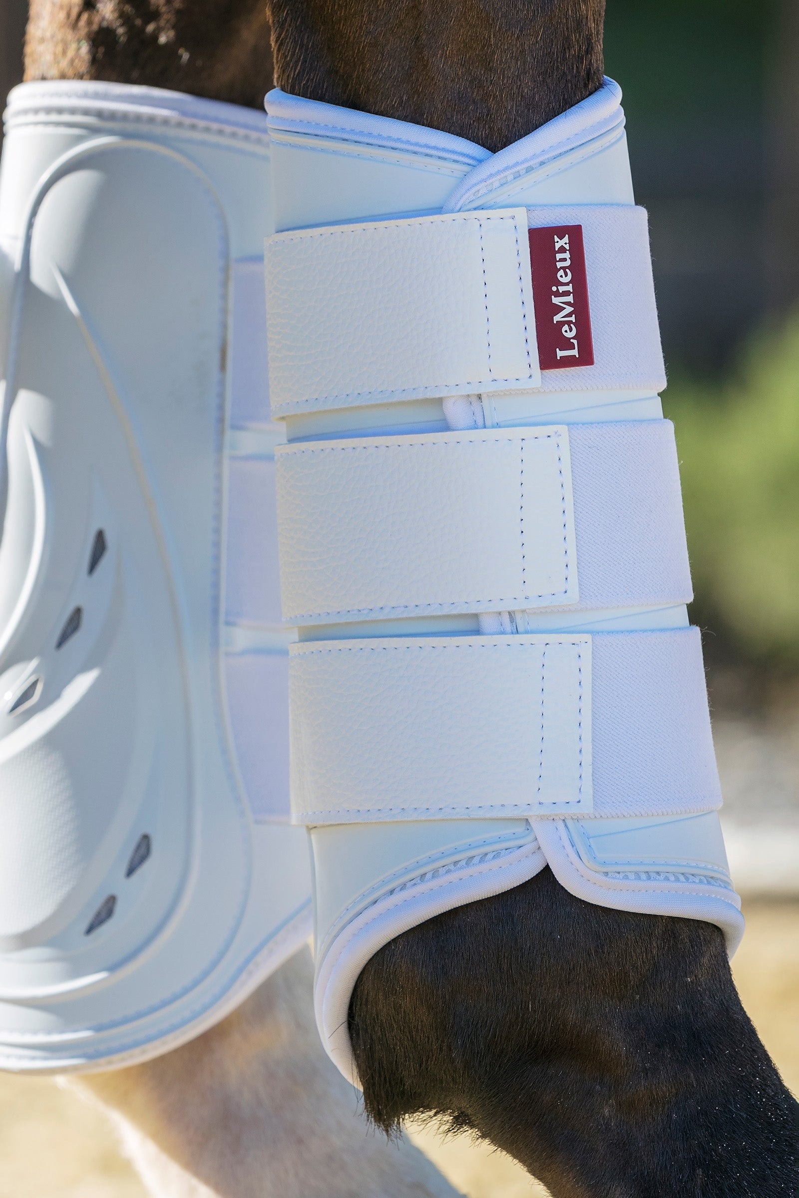 LeMieux ProShell Brushing Boots Leg Protection & Hoof Protection for Horses