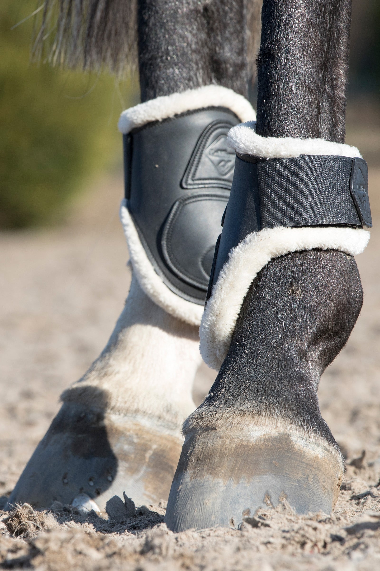 LeMieux Capella Leather Comfort Fetlock Boots Leg Protection & Hoof Protection for Horses