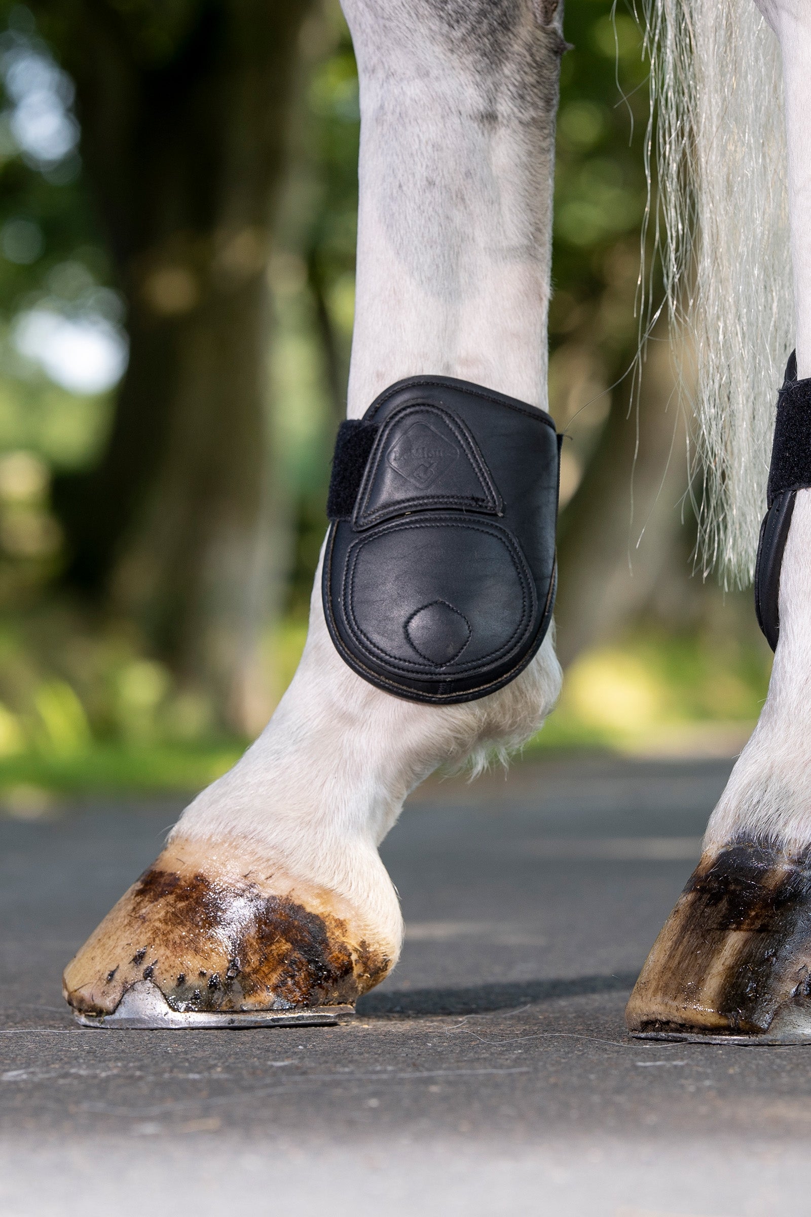 LeMieux Capella Leather Fetlock Boots Leg Protection & Hoof Protection for Horses
