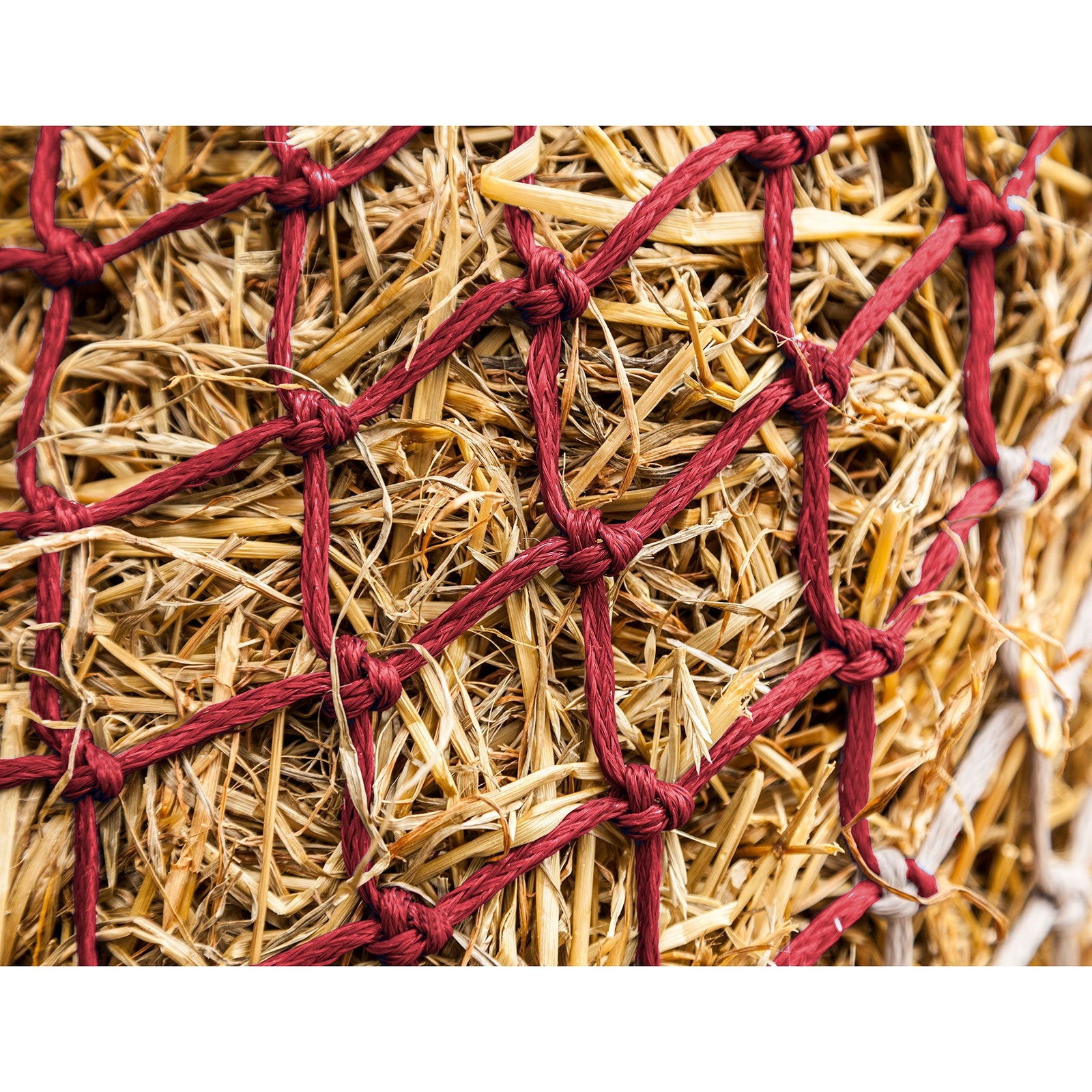 LeMieux Hippo Rete portafieno Alimentazione e bevande