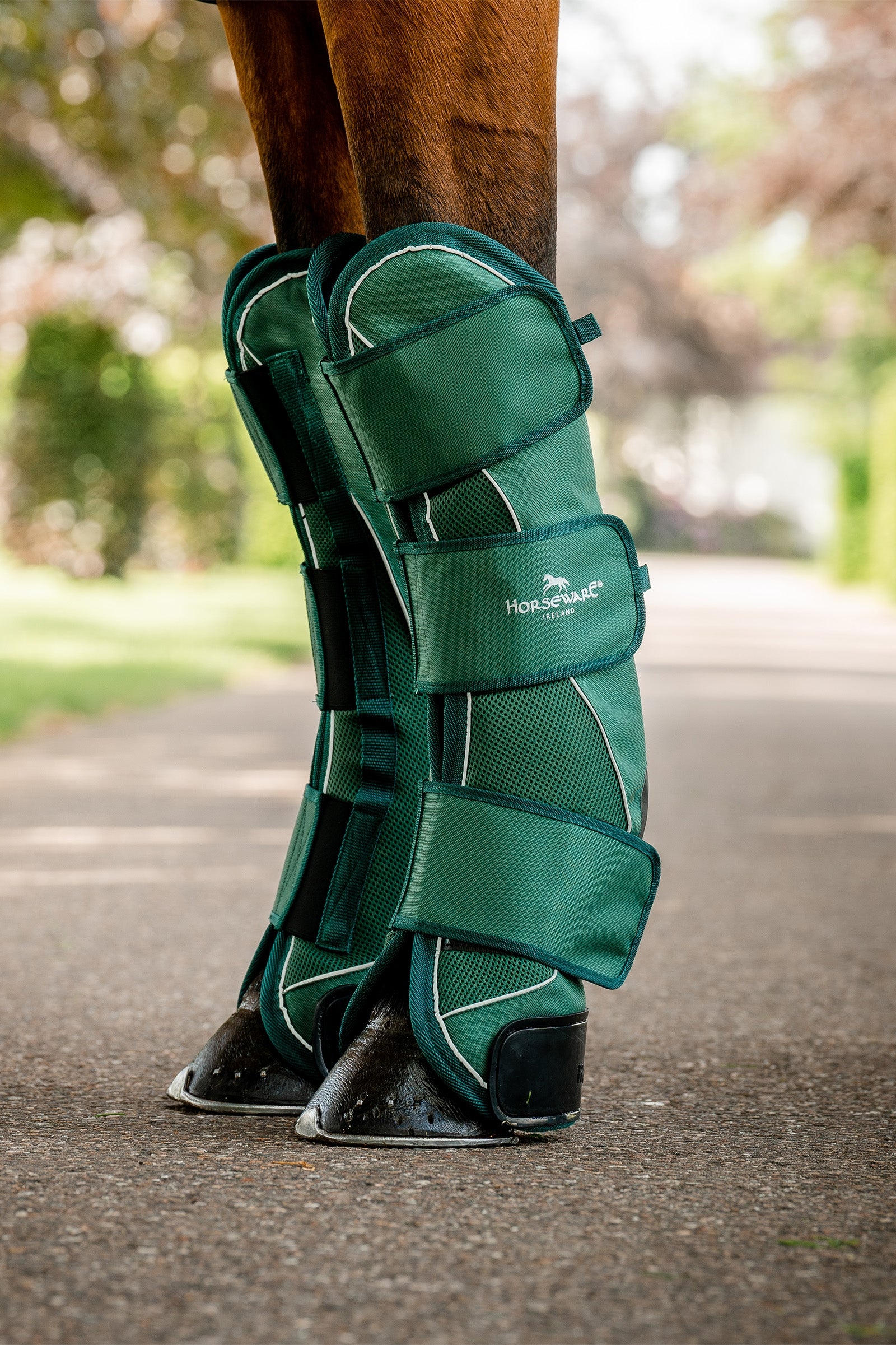 Horseware Signature Gambali da Trasporto Leg Protection & Hoof Protection for Horses