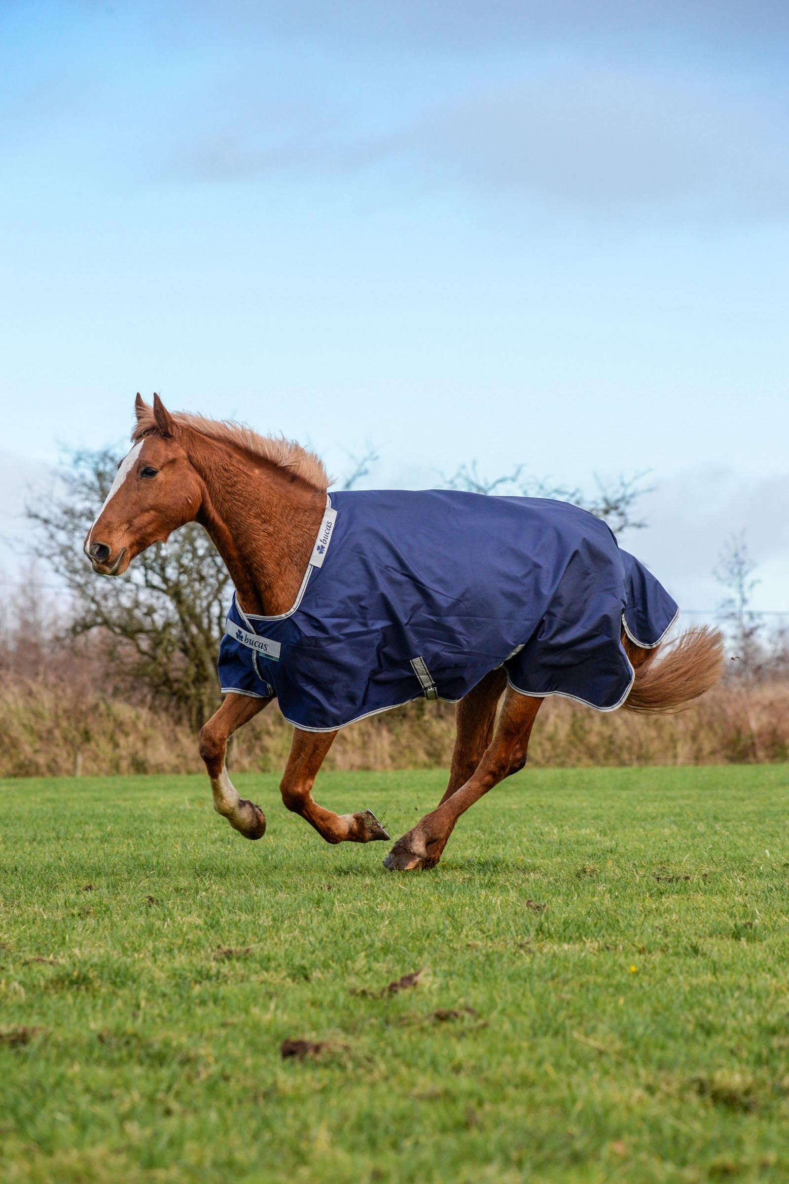 Bucas Atlantic Coperta da turnout 400g Coperte per cavalli