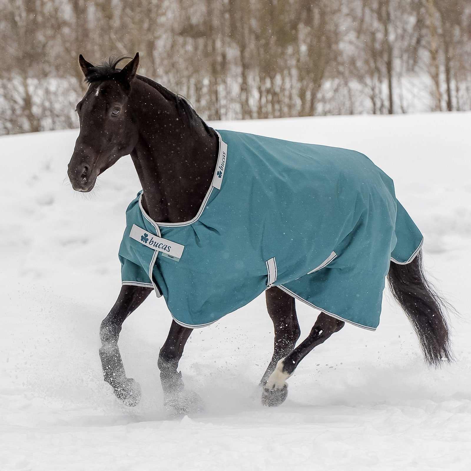 Bucas Atlantic Coperta da turnout 400g Coperte per cavalli