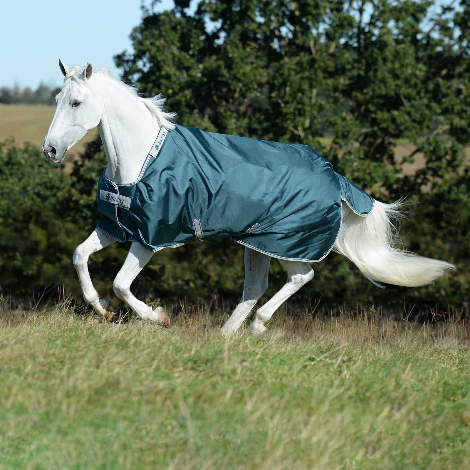 Bucas Atlantic coperta da turnout leggera, 50 g Coperte per cavalli