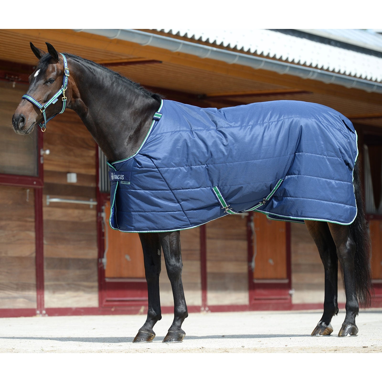 Bucas Quilt Stay-dry, 150g Horse Rugs