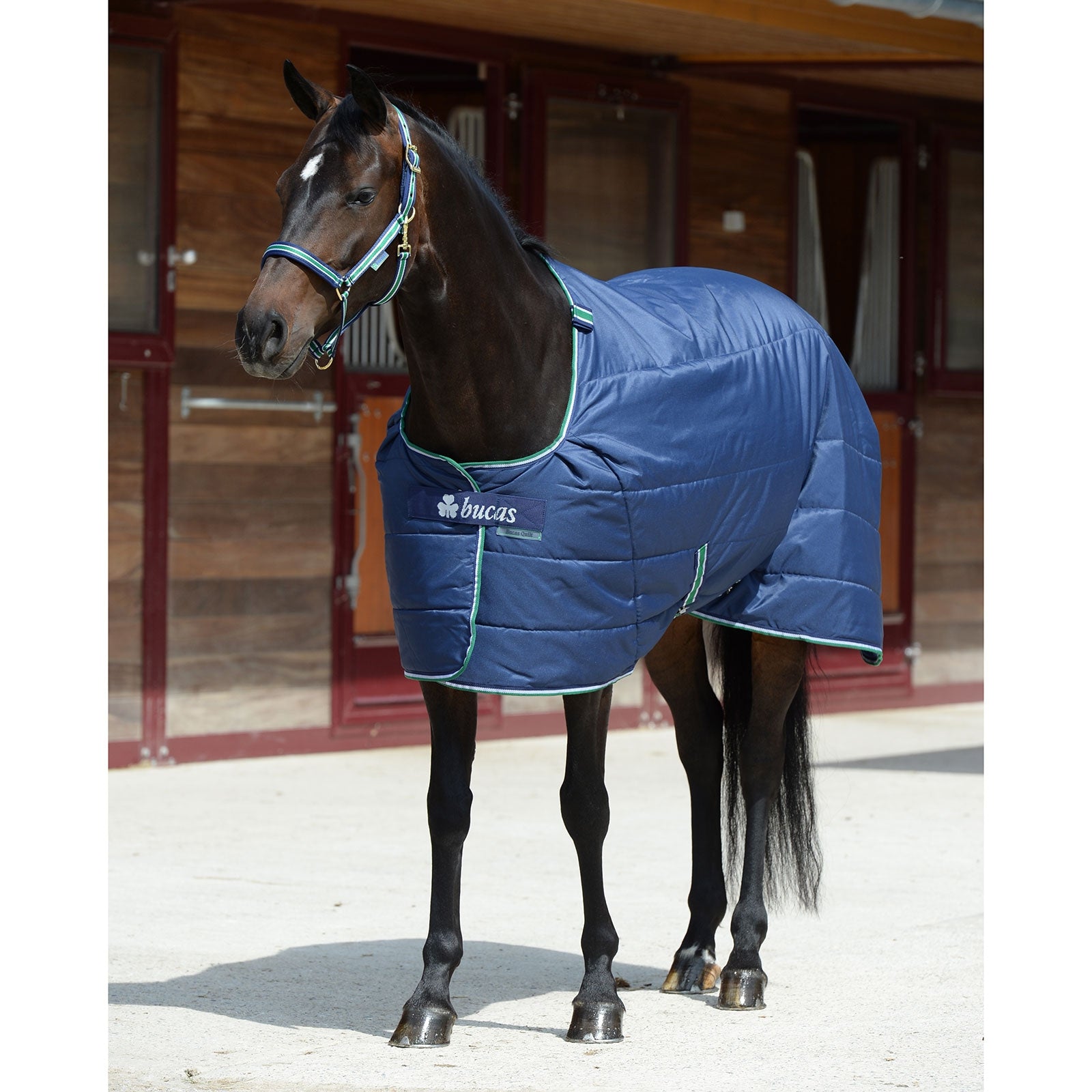 Bucas Quilt Silk-feel, 150g Horse Rugs