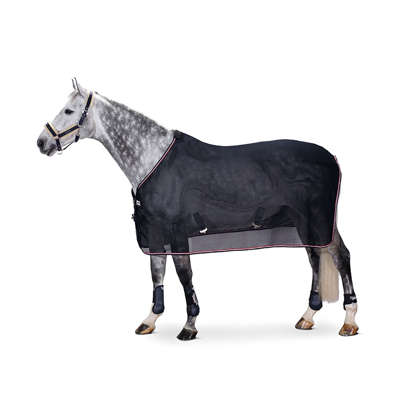 Eskadron Coperta antimosche in rete resistente Coperte per cavalli