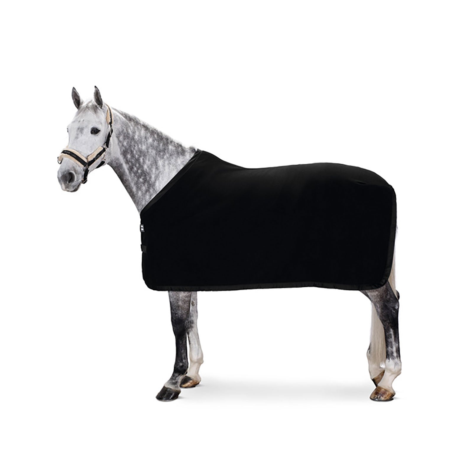 Eskadron Coperta raffreddante in pile Coperte per cavalli