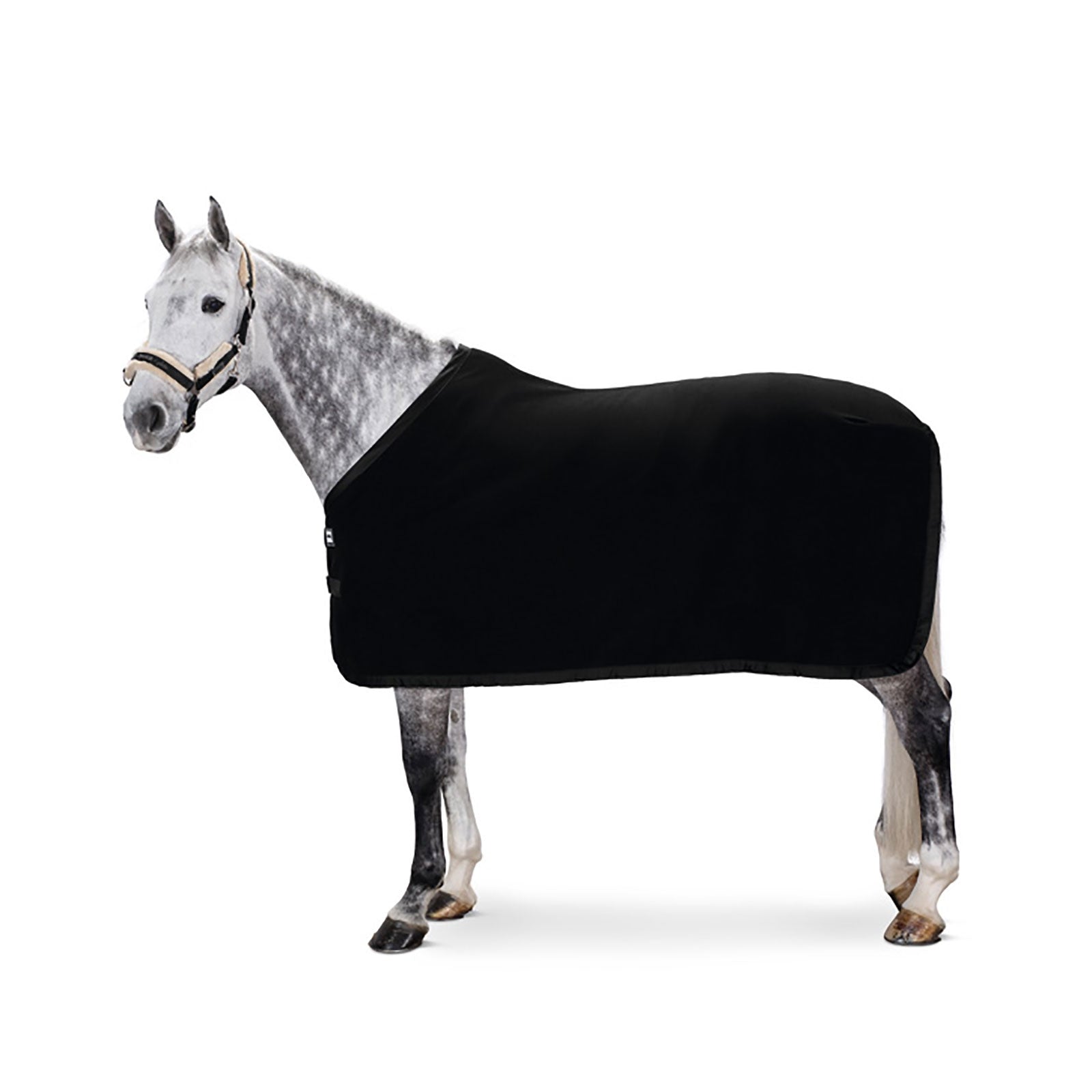 Eskadron Coperta raffreddante in pile Coperte per cavalli