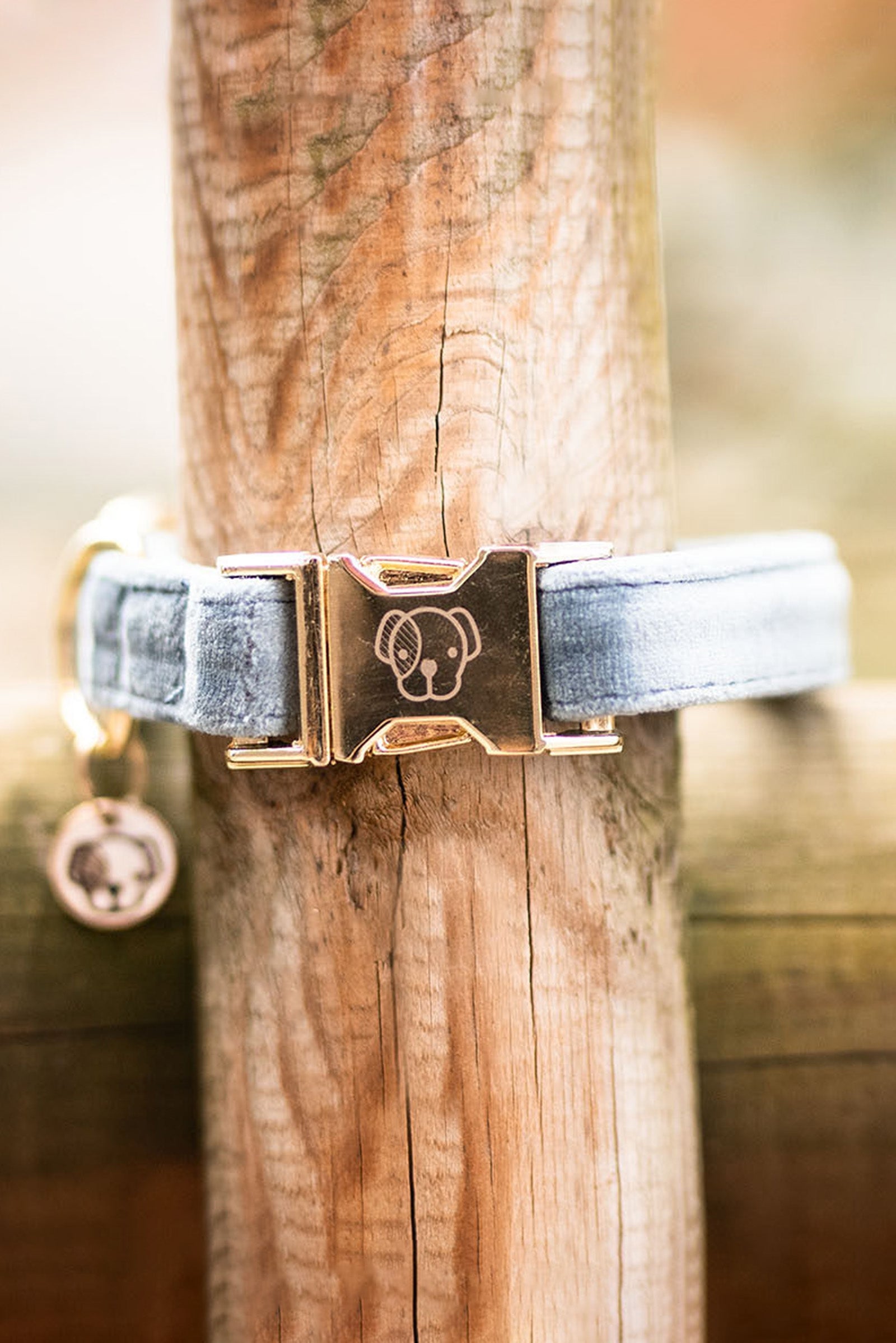 Kentucky Dogwear Dog Collar Velvet Dog Accesories