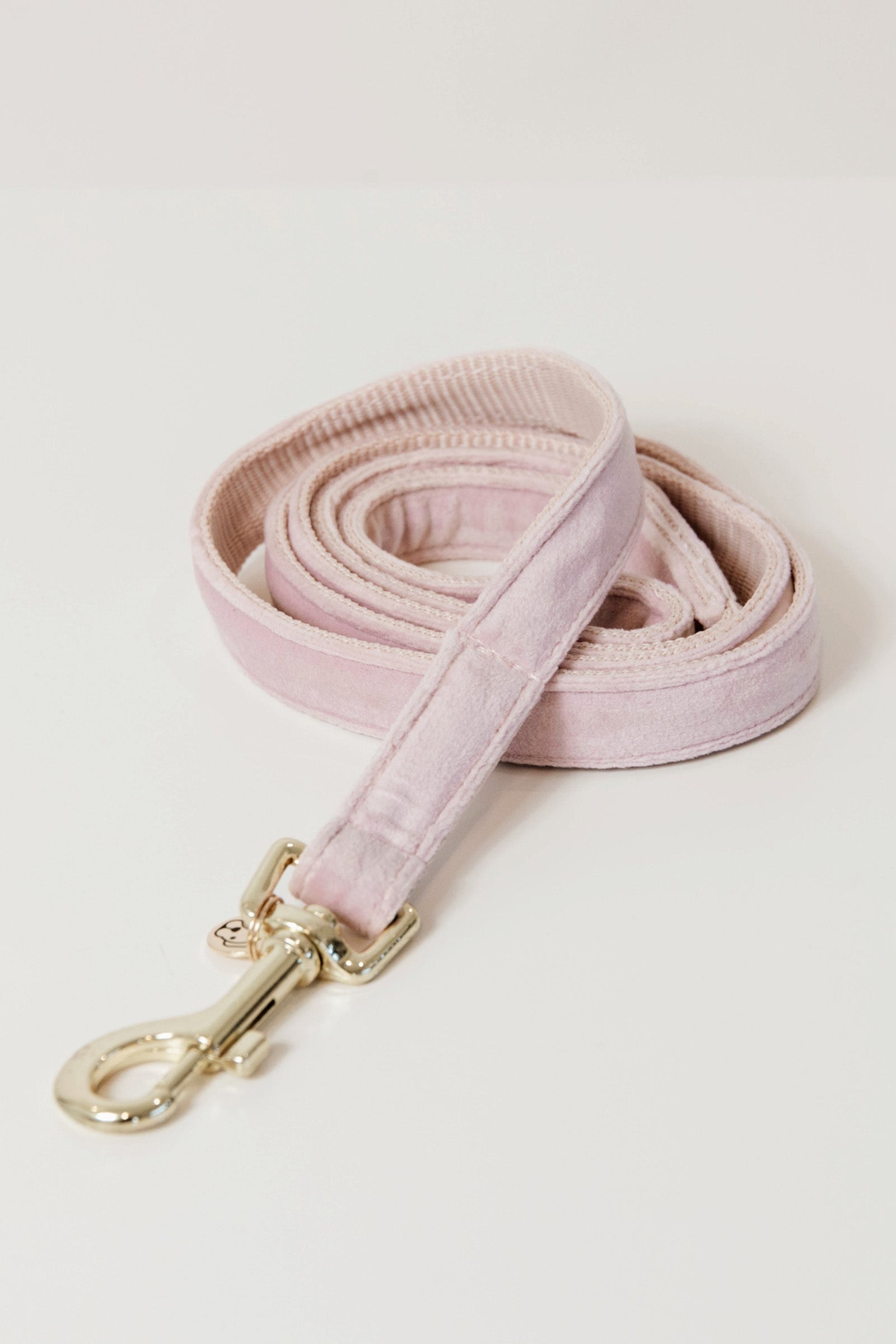 Kentucky Dogwear guinzaglio per cani in velluto Cane