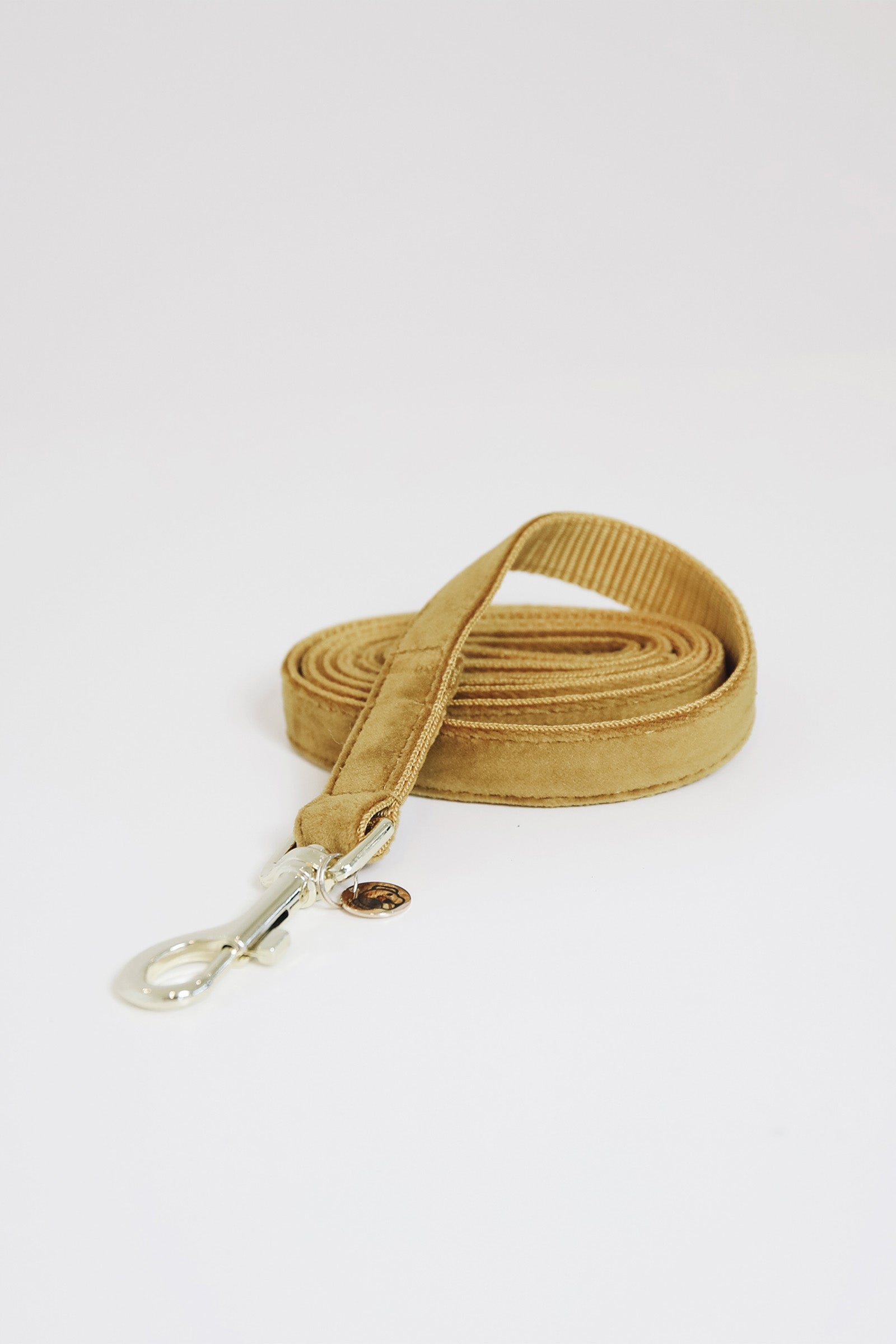 Kentucky Dogwear guinzaglio per cani in velluto Cane