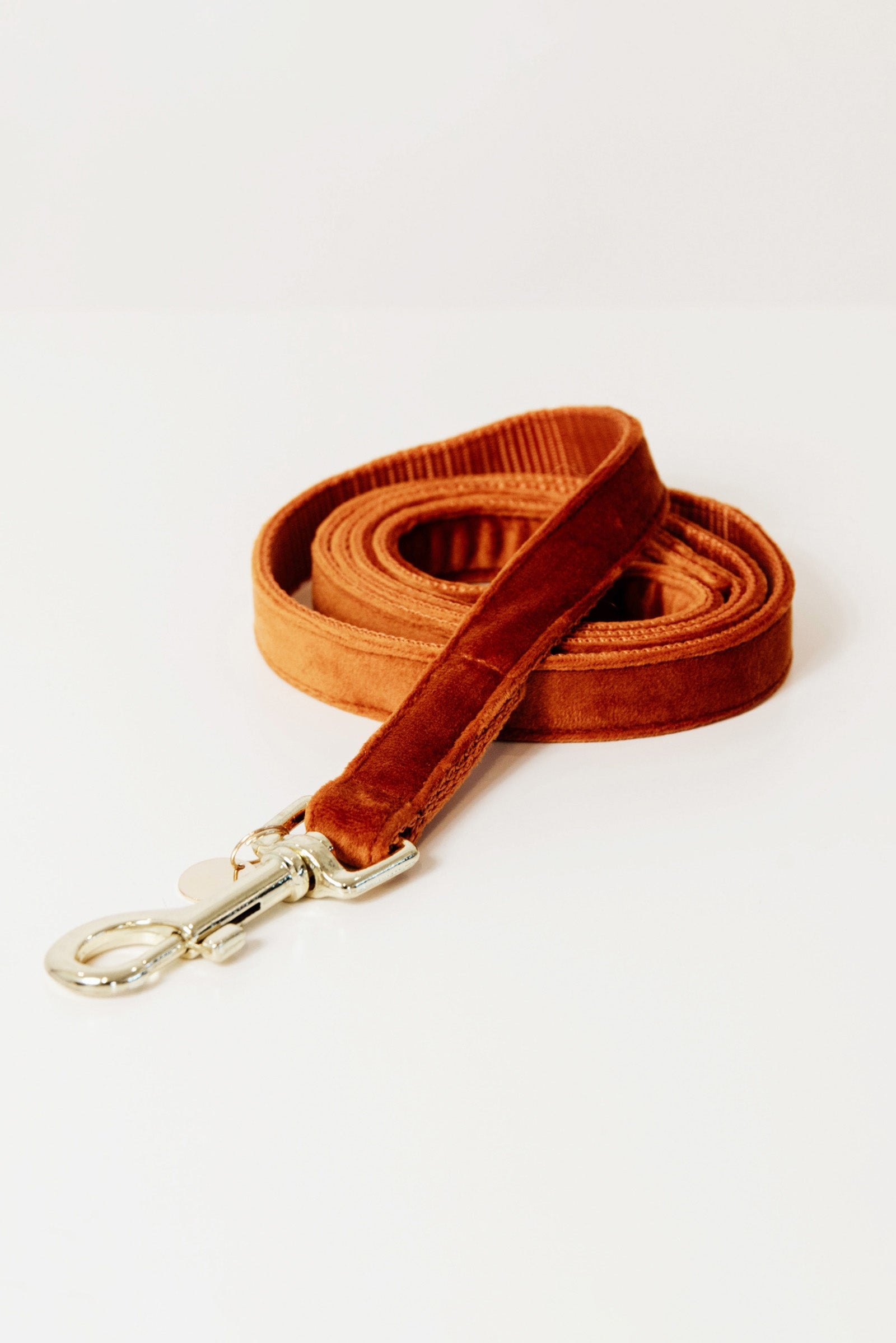 Kentucky Dogwear guinzaglio per cani in velluto Cane