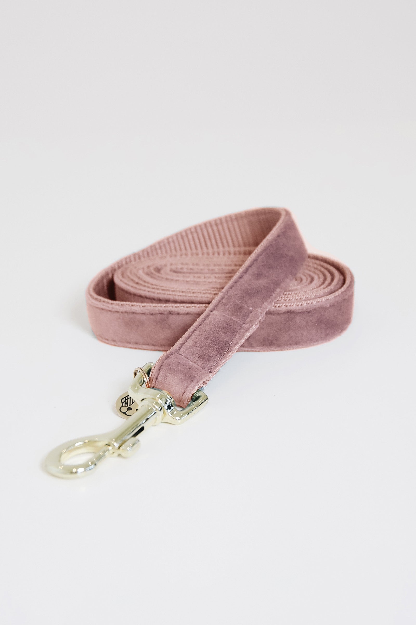 Kentucky Dogwear guinzaglio per cani in velluto Cane