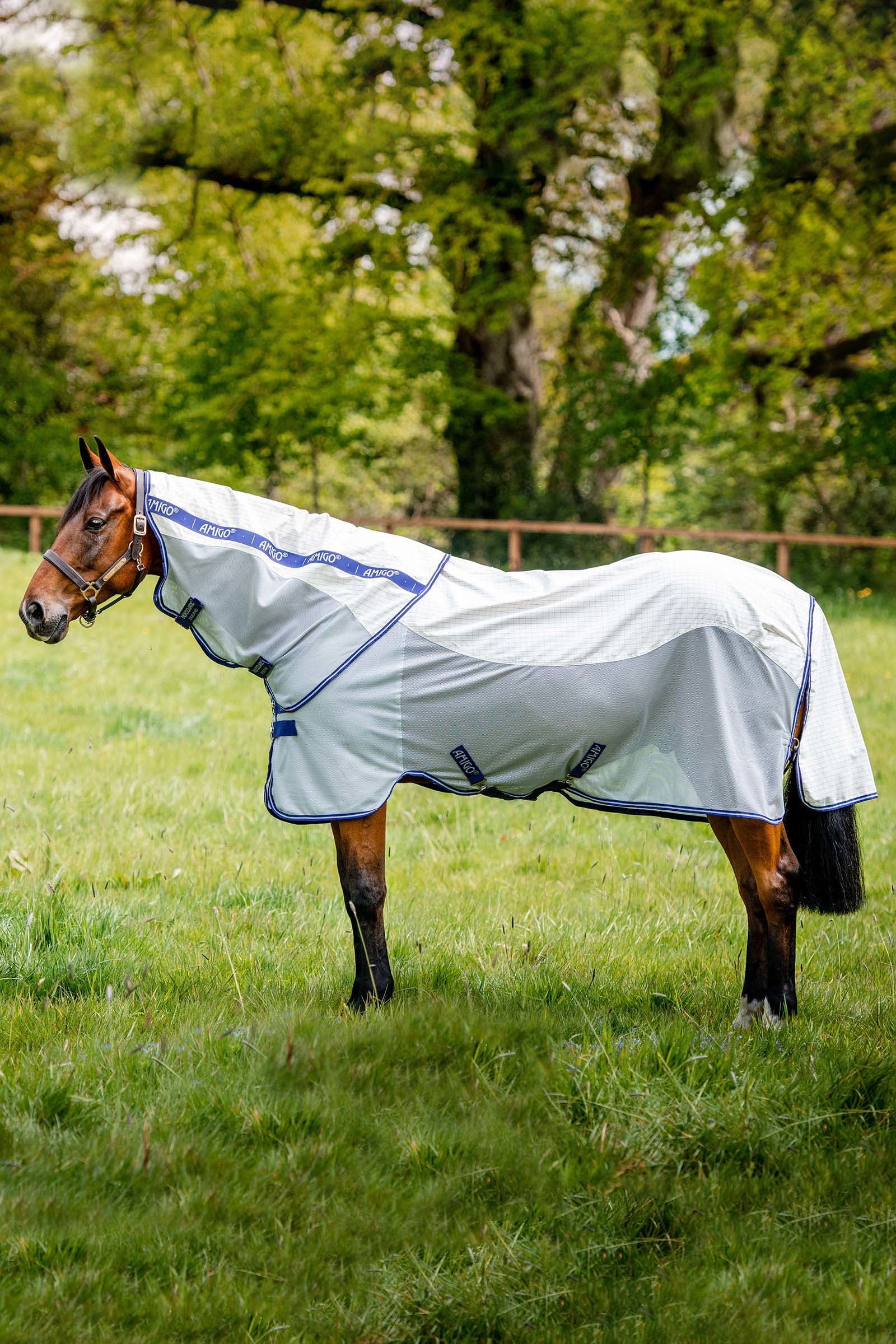 Horseware Amigo Airflow coperta anti-mosche con parte collo staccabile Coperte per cavalli