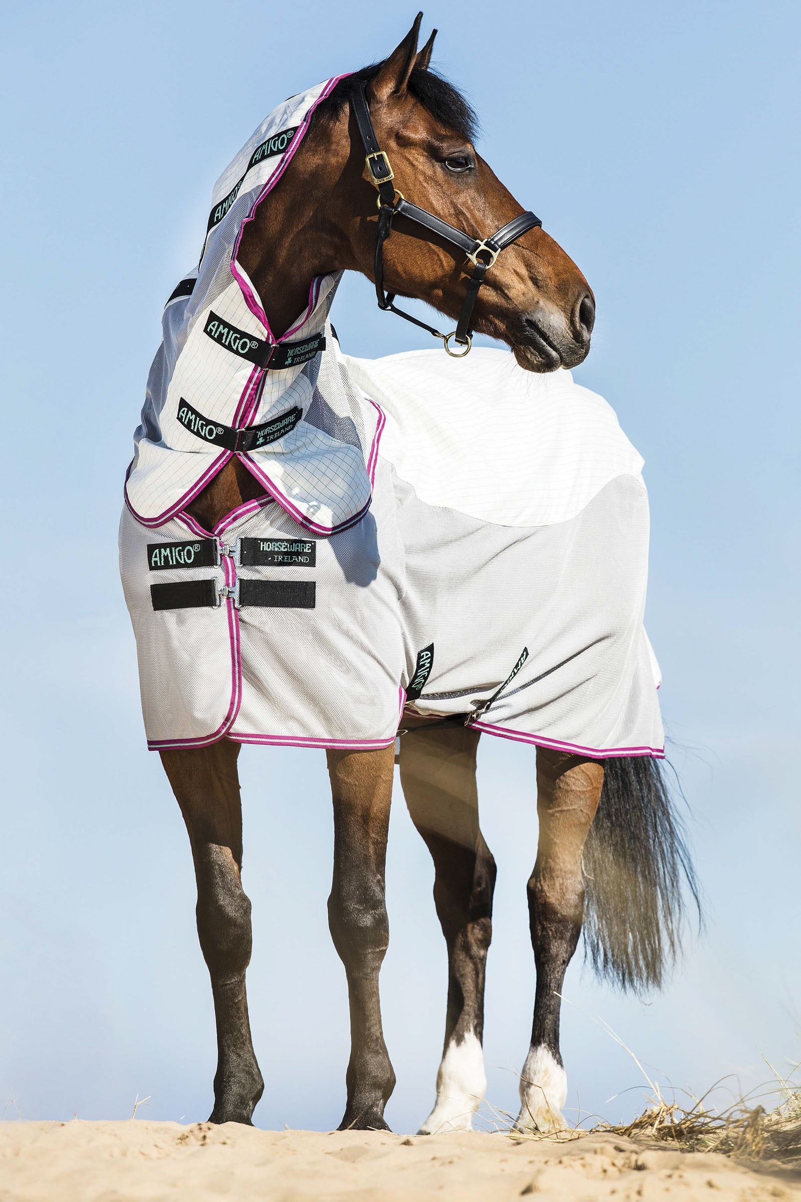 Horseware Amigo Airflow coperta anti-mosche con parte collo staccabile Coperte per cavalli