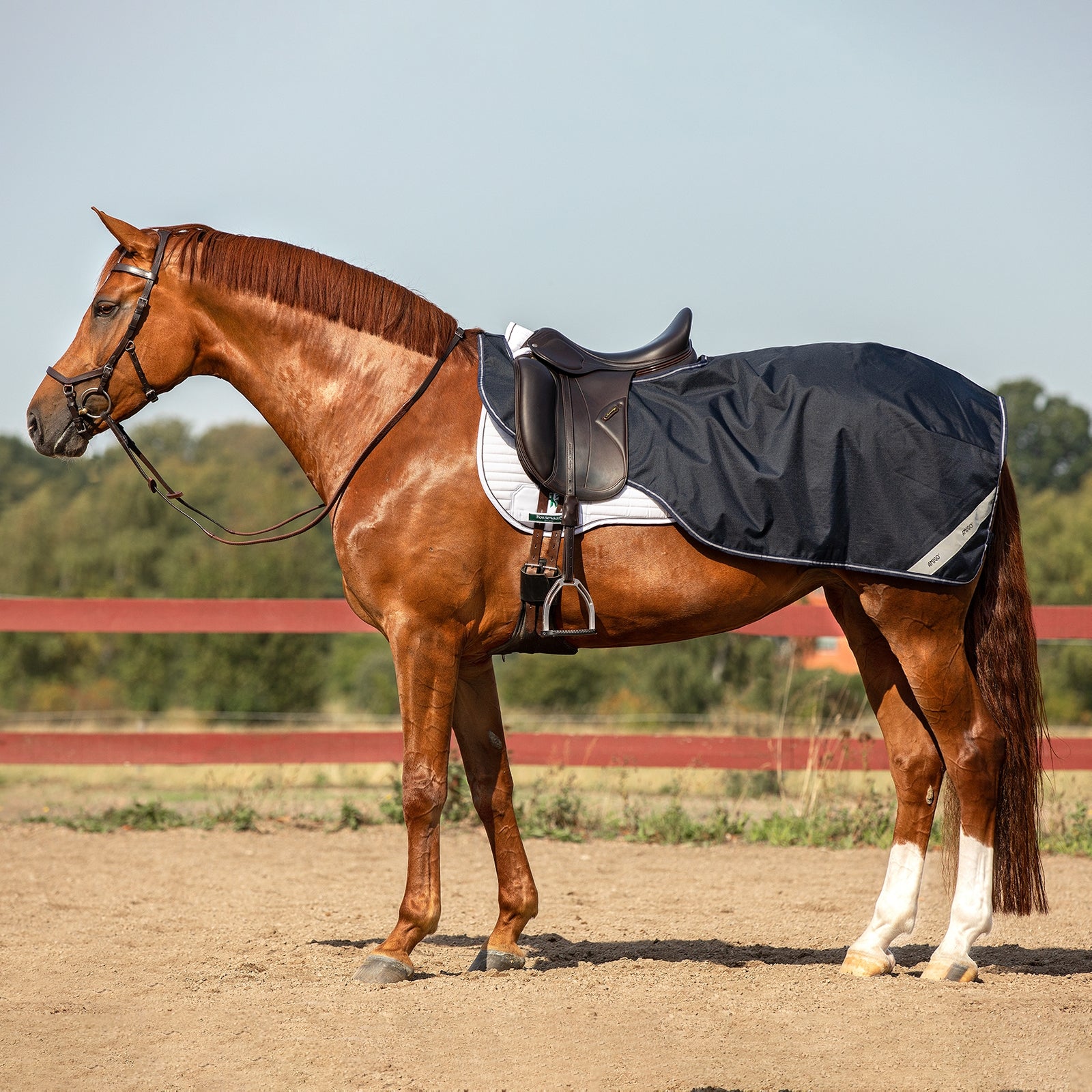 Horseware Coperta da equitazione Amigo Ripstop Coperte per cavalli