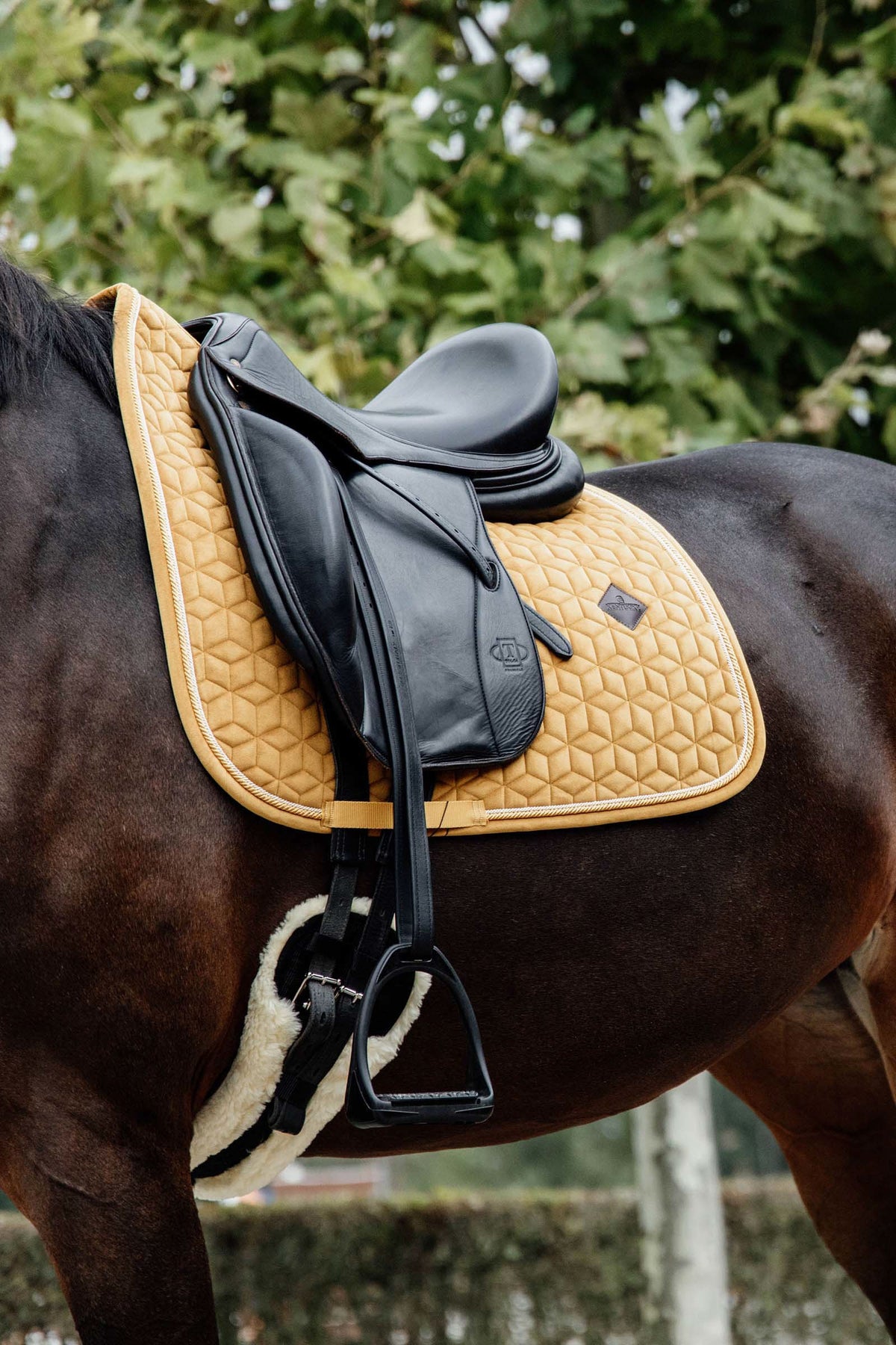 Kentucky Horsewear Velvet Dressage Saddle Pad Saddle Pads
