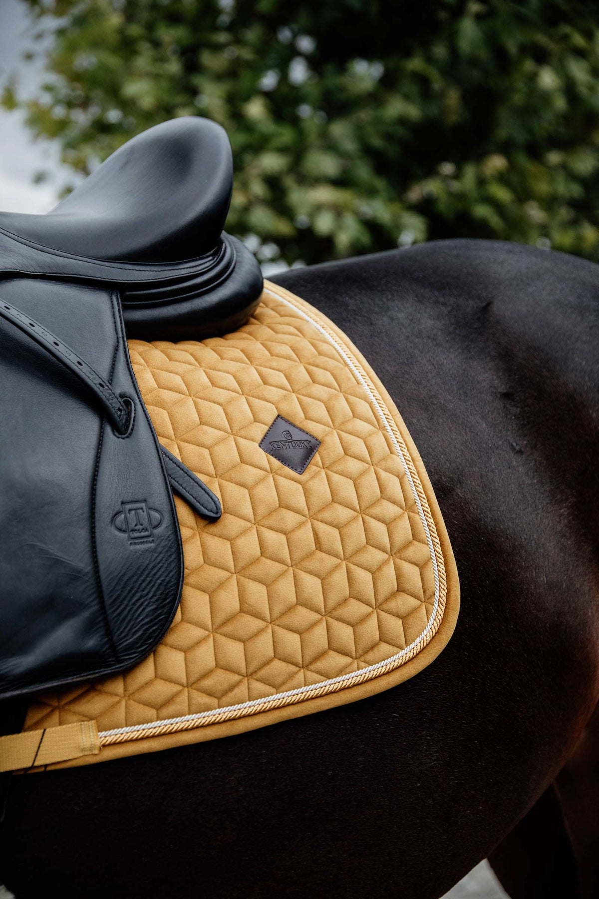 Kentucky Horsewear Velvet Dressage Saddle Pad Saddle Pads