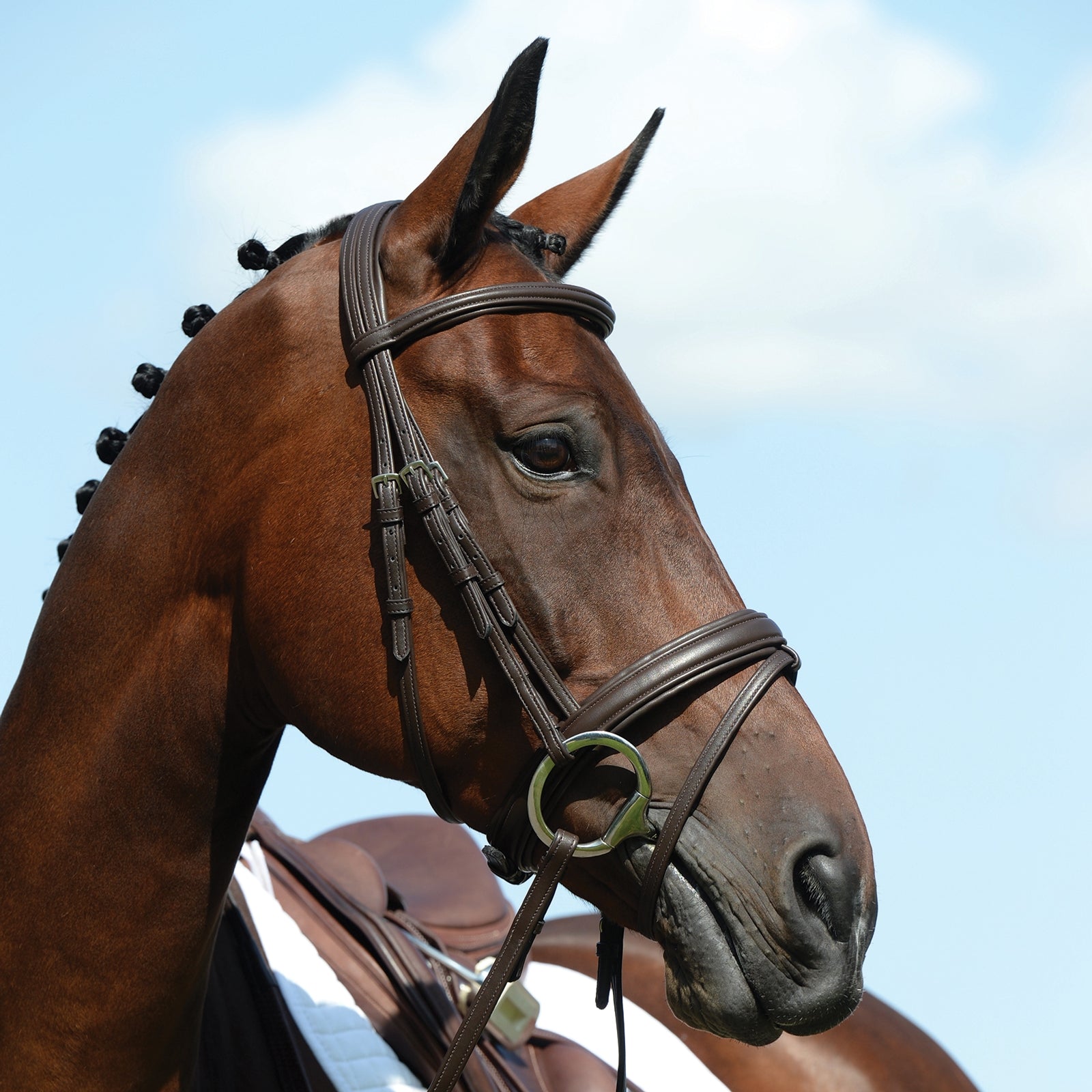 Collegiate Syntovia+ unterlegte Trense Briglie & redini