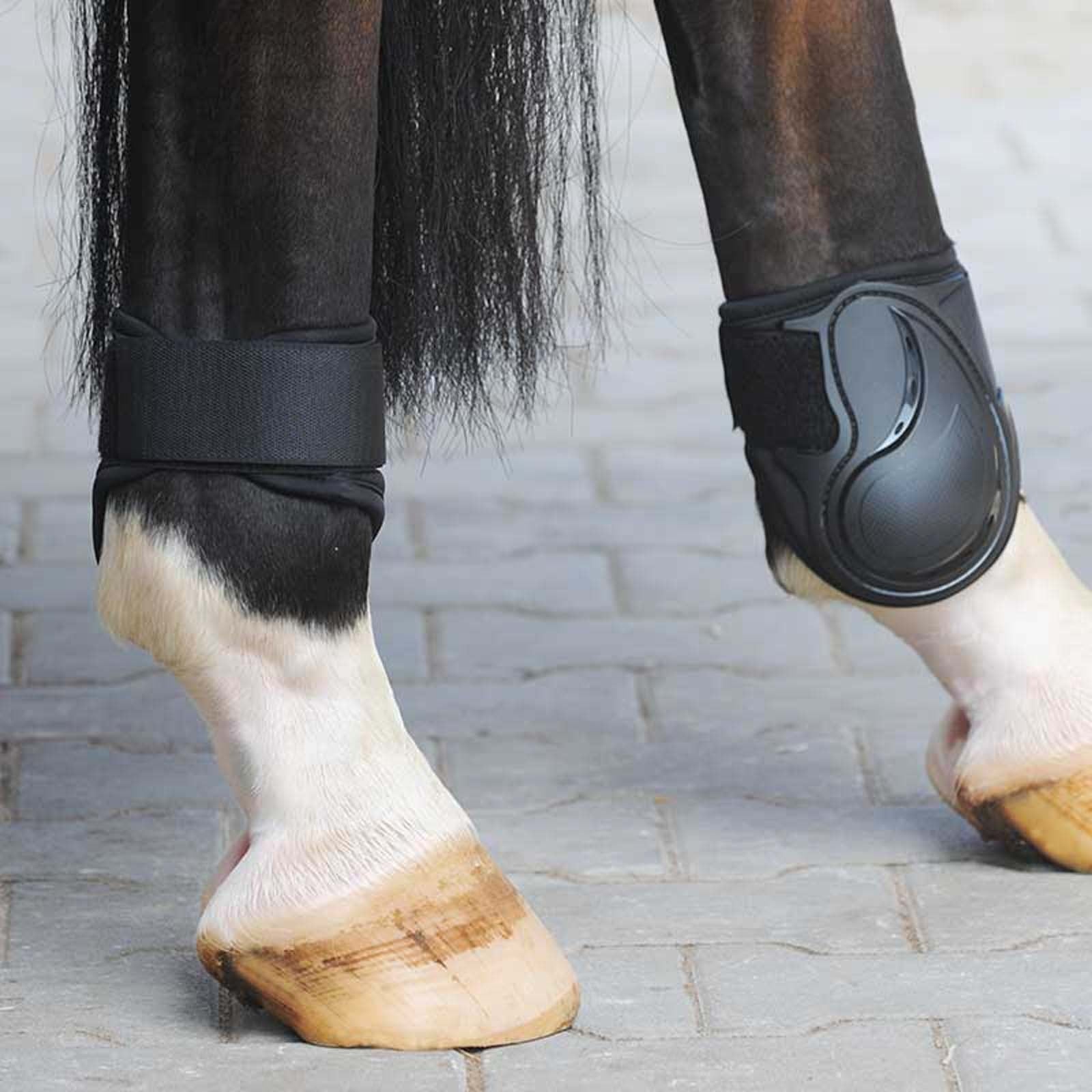 Kavalkade Paranocche Competi Leg Protection & Hoof Protection for Horses