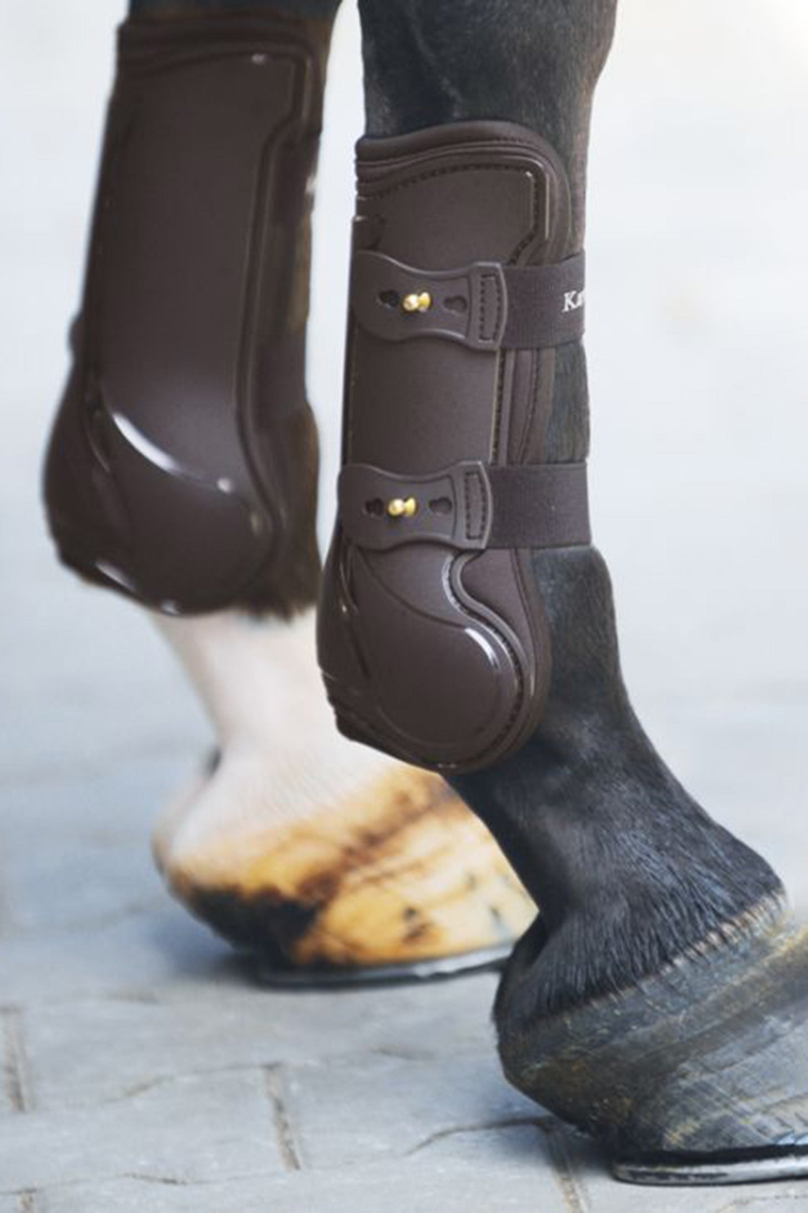 Kavalkade Gli stivali per tendine competono Leg Protection & Hoof Protection for Horses