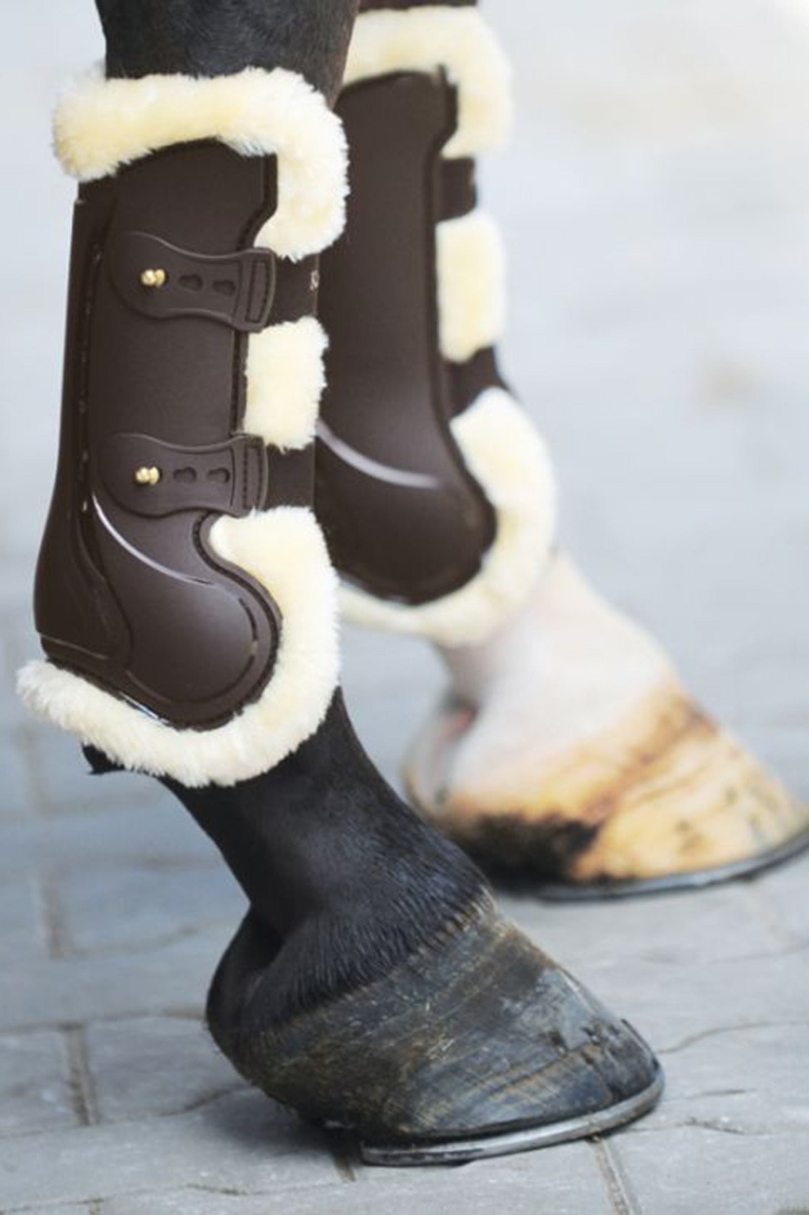 Kavalkade Paratendini Compete 'n Wool Leg Protection & Hoof Protection for Horses