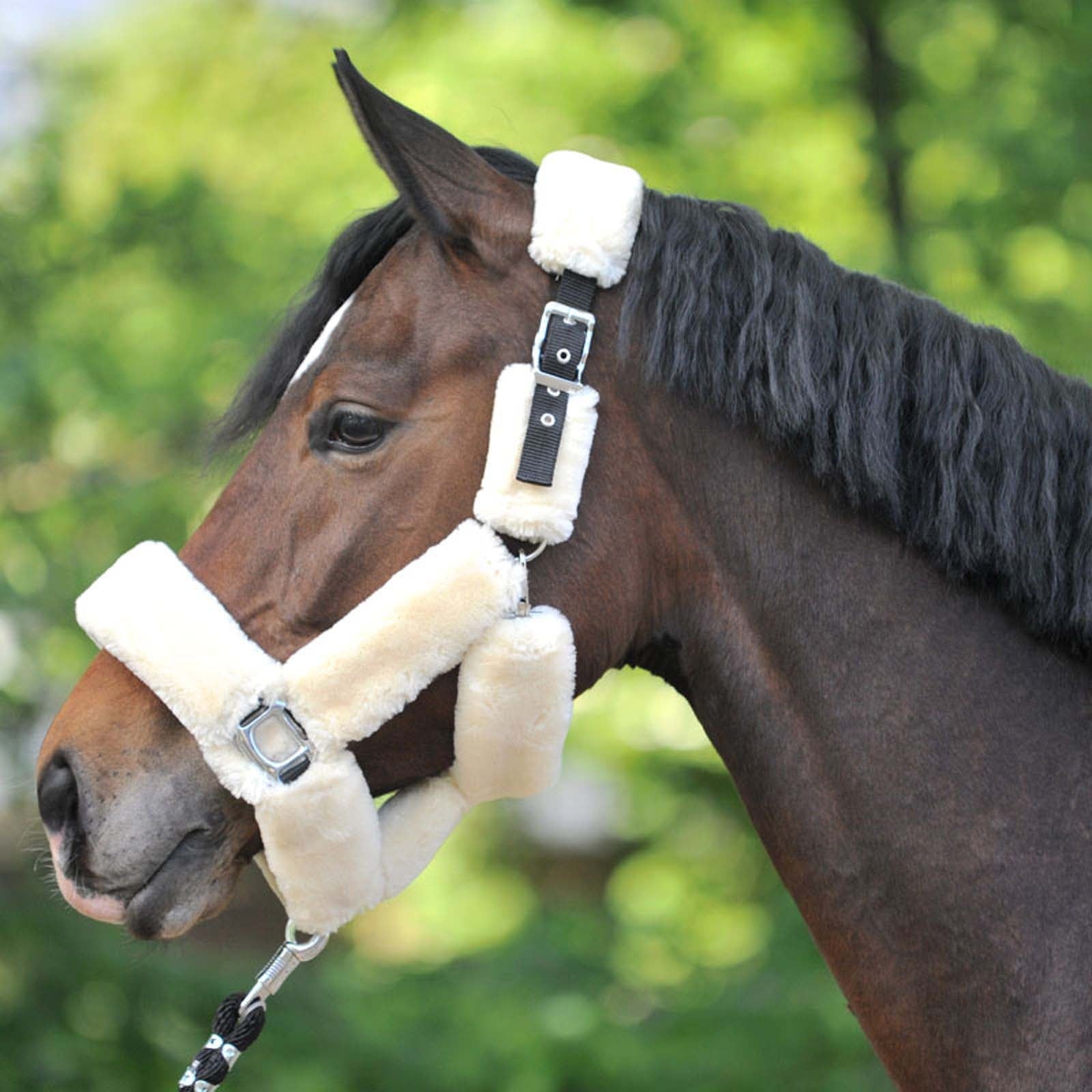 Kavalkade Transport Headcollar with Immitation Fur Halters & Leads