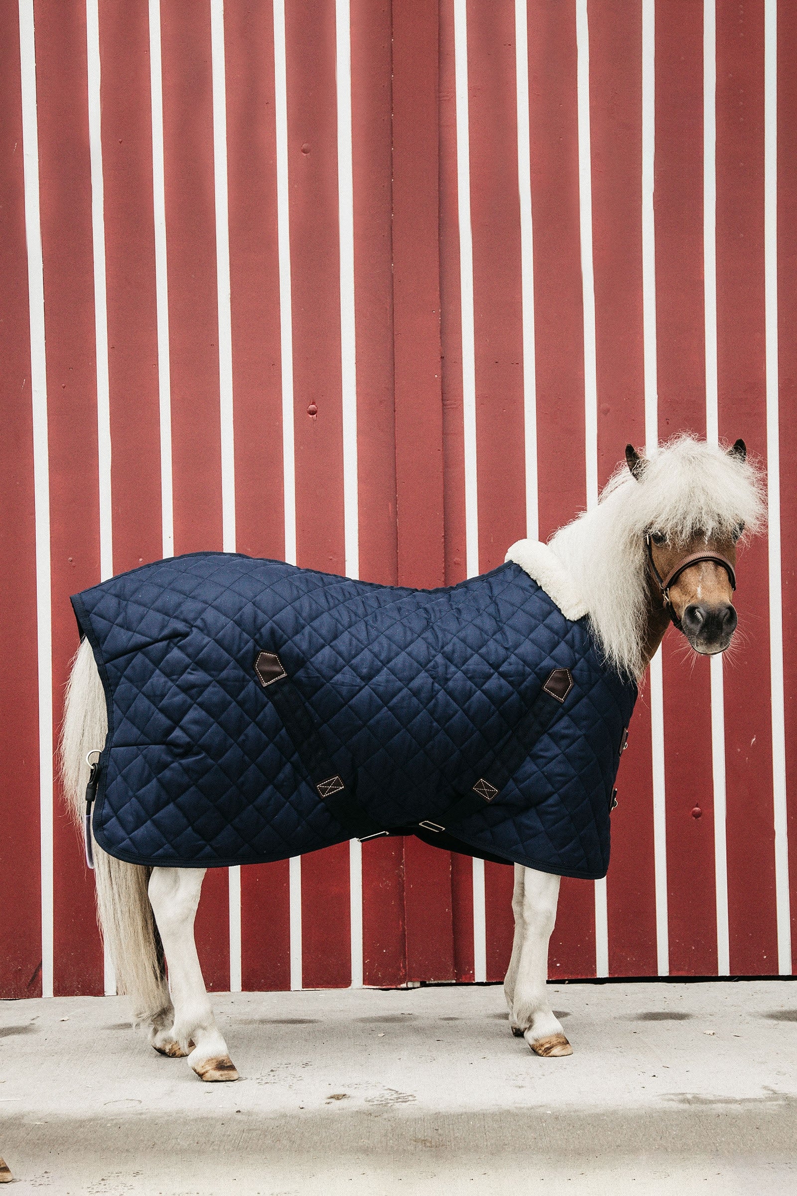 Kentucky Horsewear Coperta da scuderia Tiny Pony, 400 g Coperte per cavalli