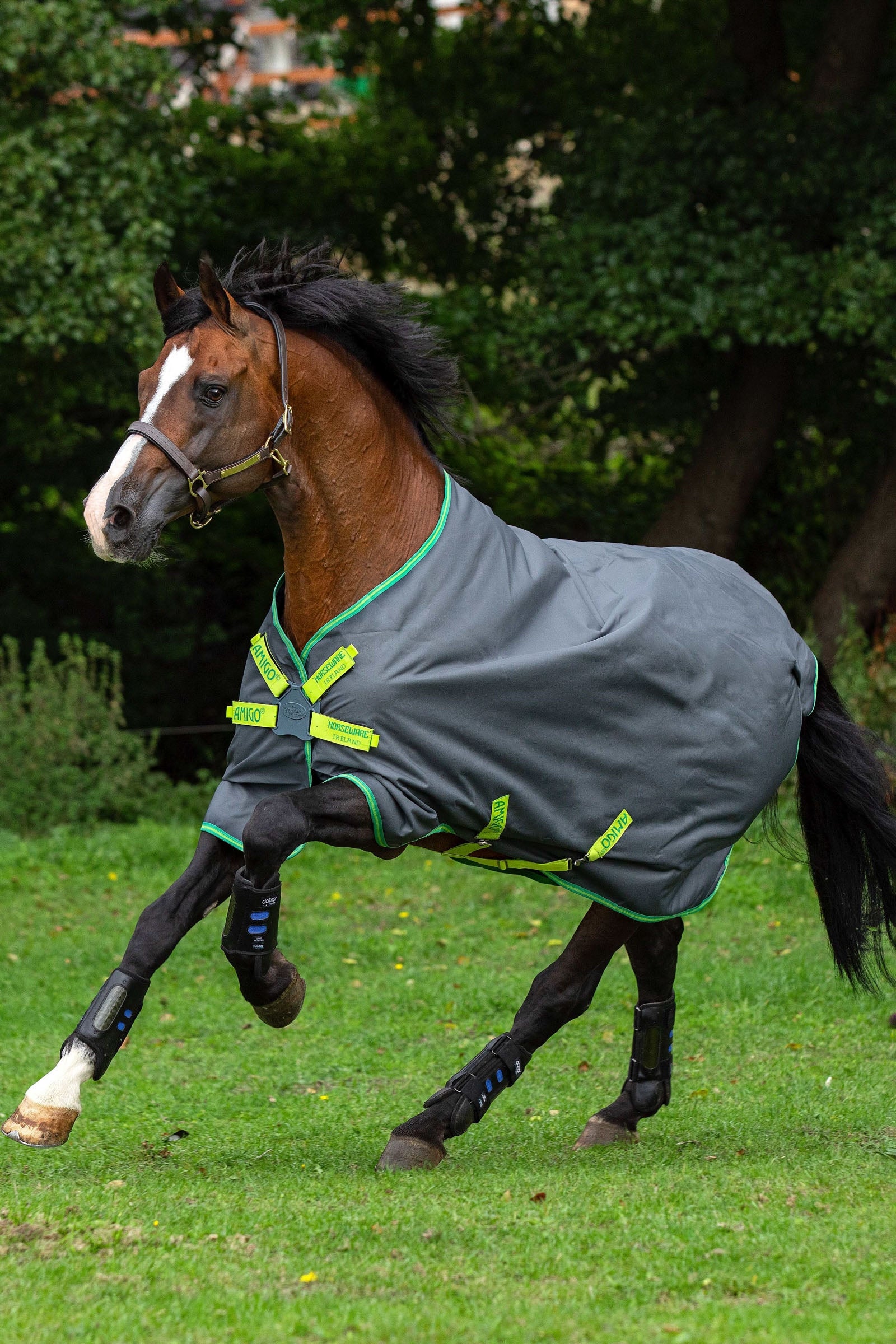 Horseware Amigo Hero 900 Lite Disc Turnout Rug, 0g Coperte per cavalli