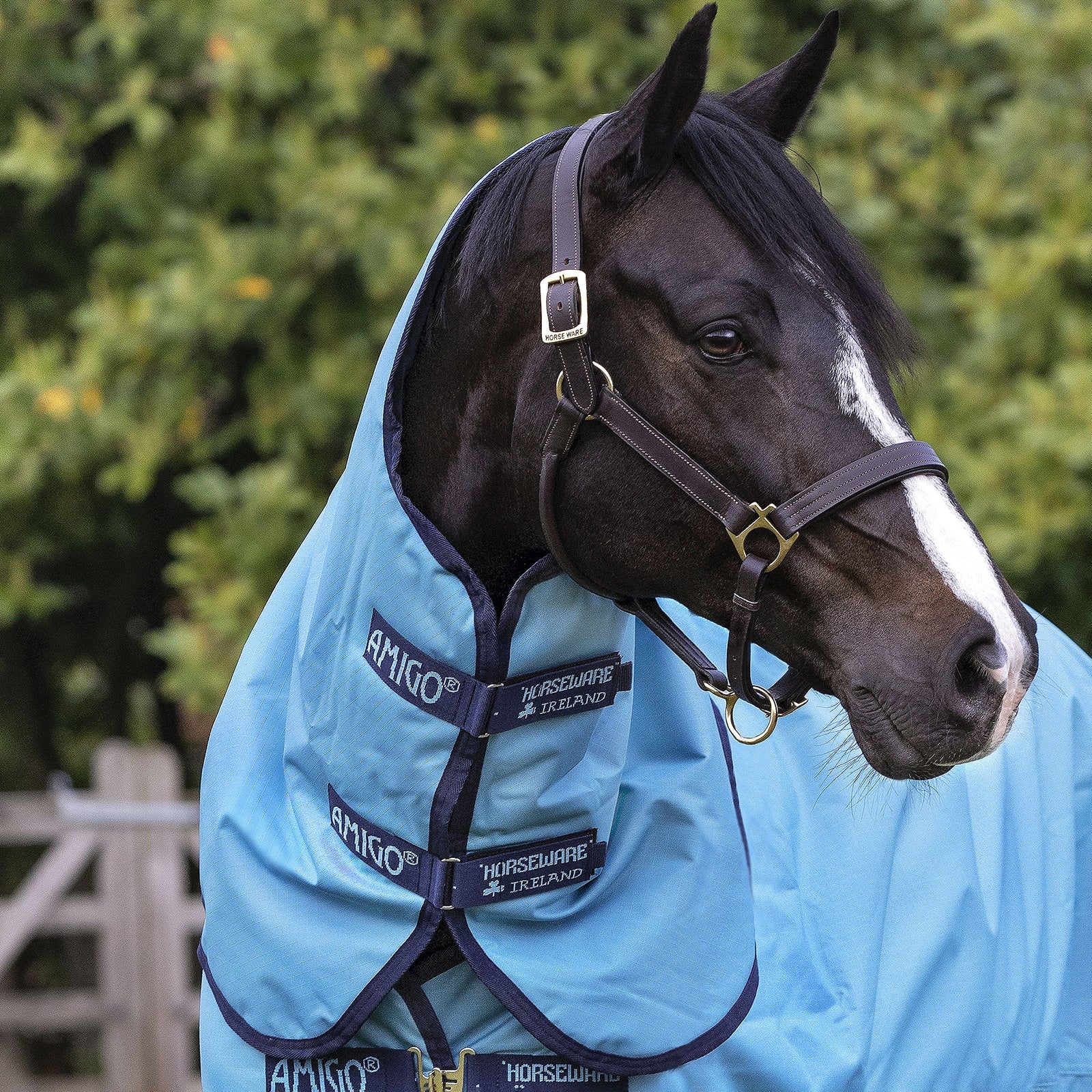 Horseware Amigo Hero Cappuccio in ripstop, 0 gr Coperte per cavalli