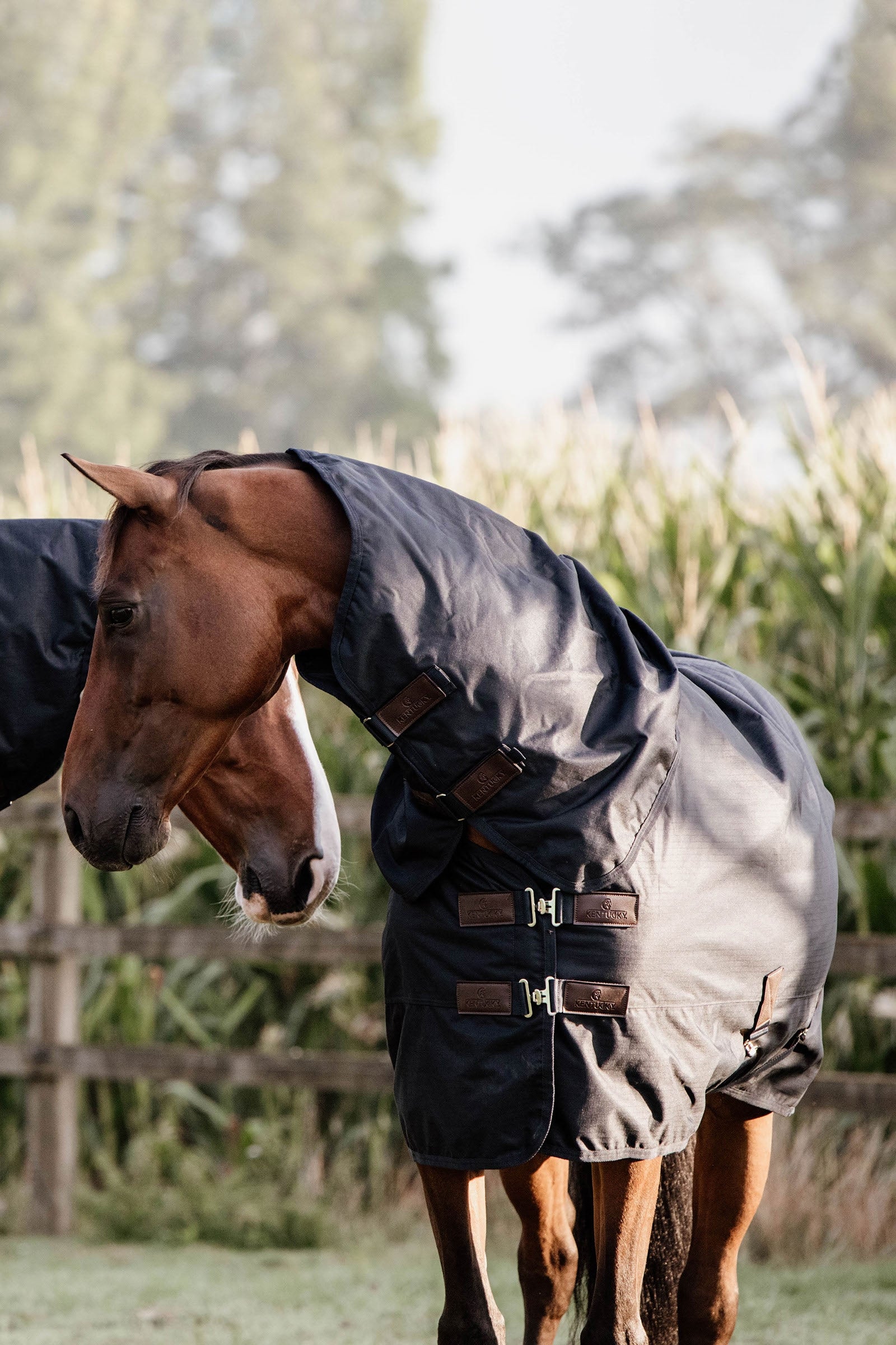 Kentucky Horsewear - Tappeto classico impermeabile per tutte le condizioni atmosferiche, 0 g Coperte per cavalli