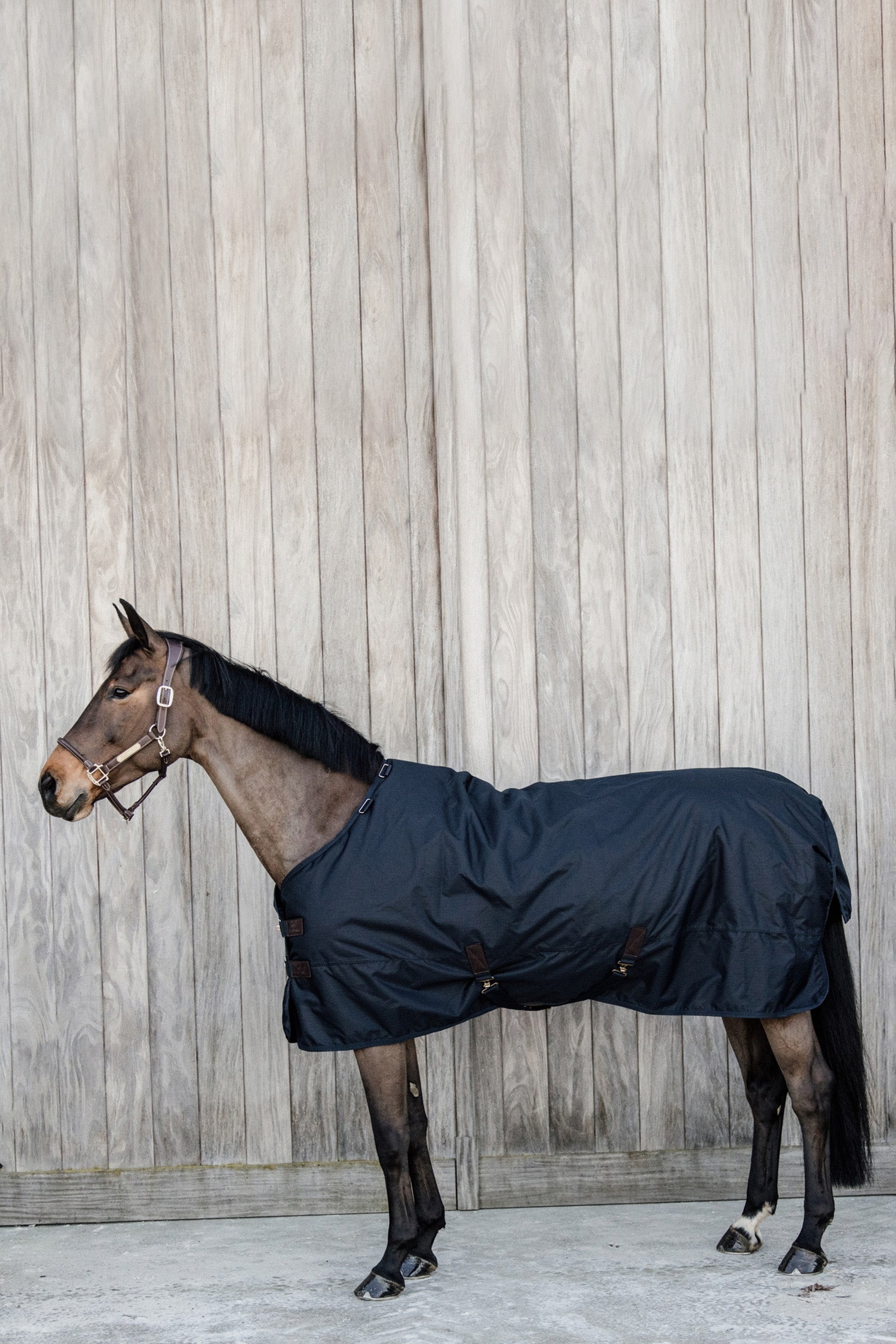 Kentucky Horsewear Tappeto Turnout, impermeabile per tutte le condizioni atmosferiche, classico, 50 g Coperte per cavalli