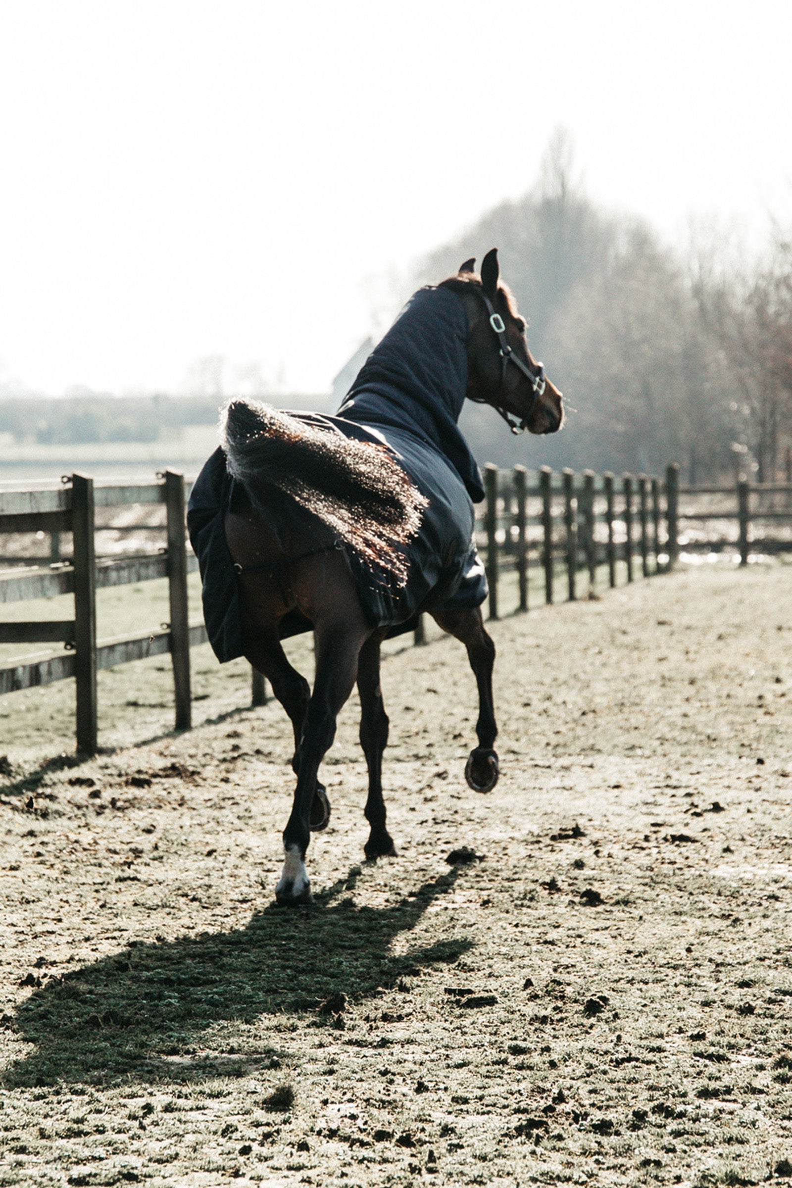 Kentucky Horsewear Turnout Rug All Weather Waterproof Classic, 50g Horse Rugs