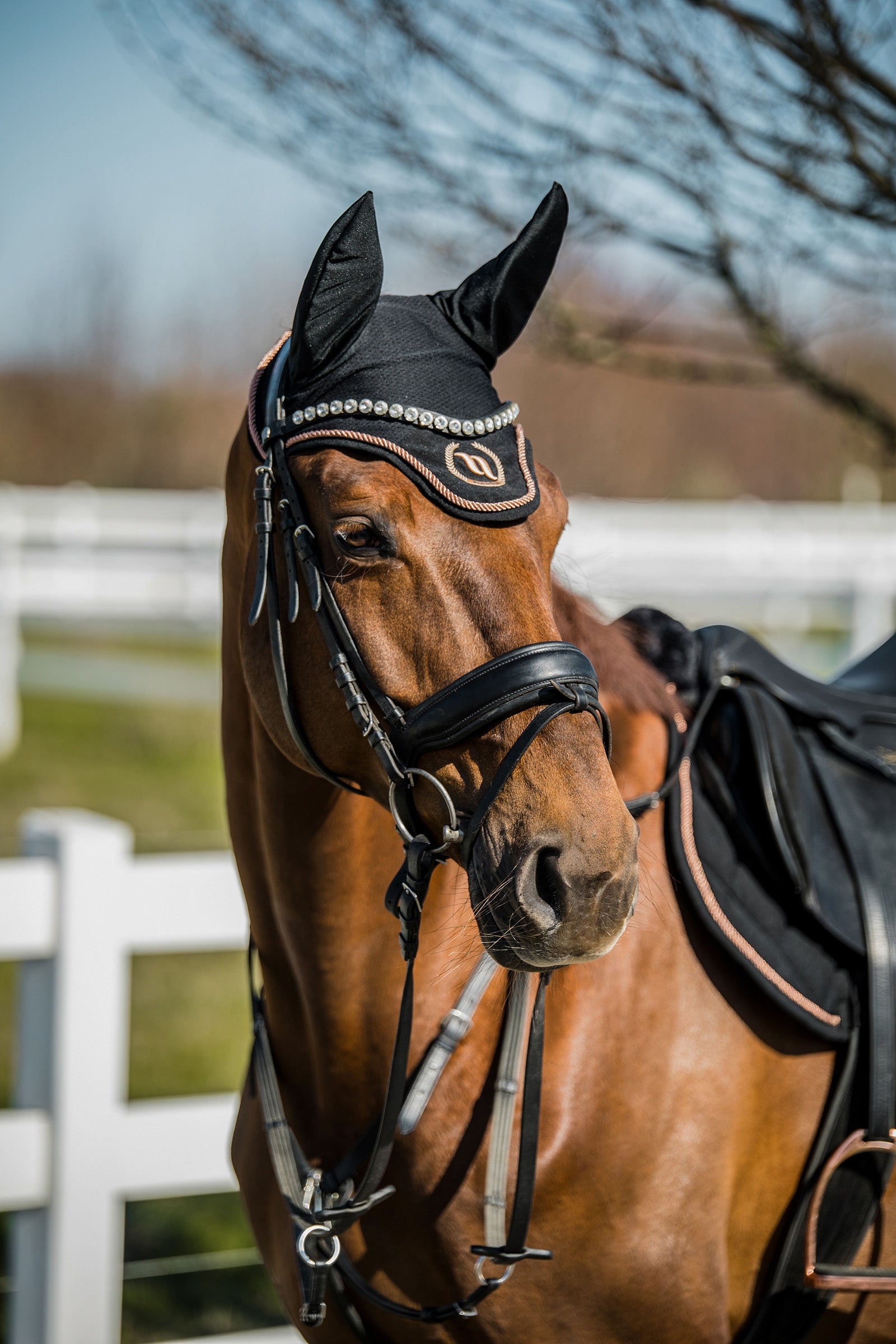 Back on Track Haze Collection Bonnet Saddle Pads