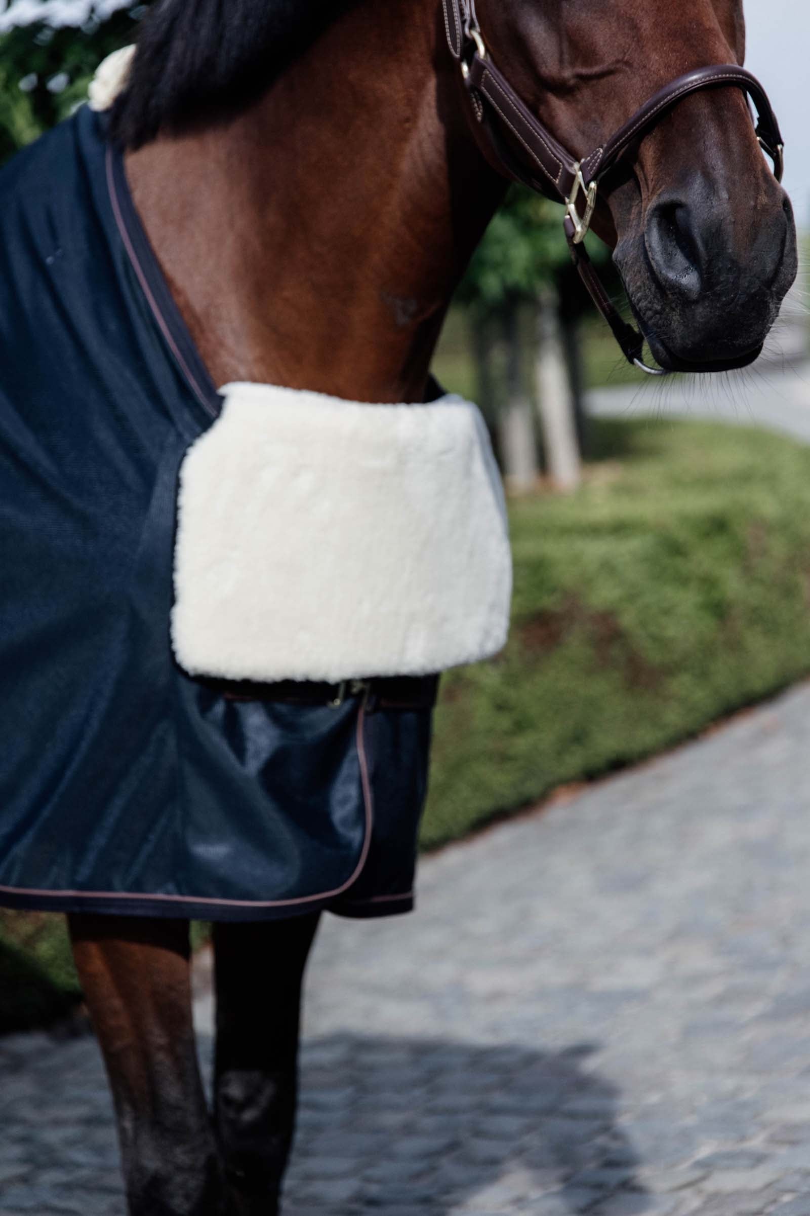 Kentucky Horsewear Horse BIB Protezione per il petto in pelle di pecora Coperte per cavalli