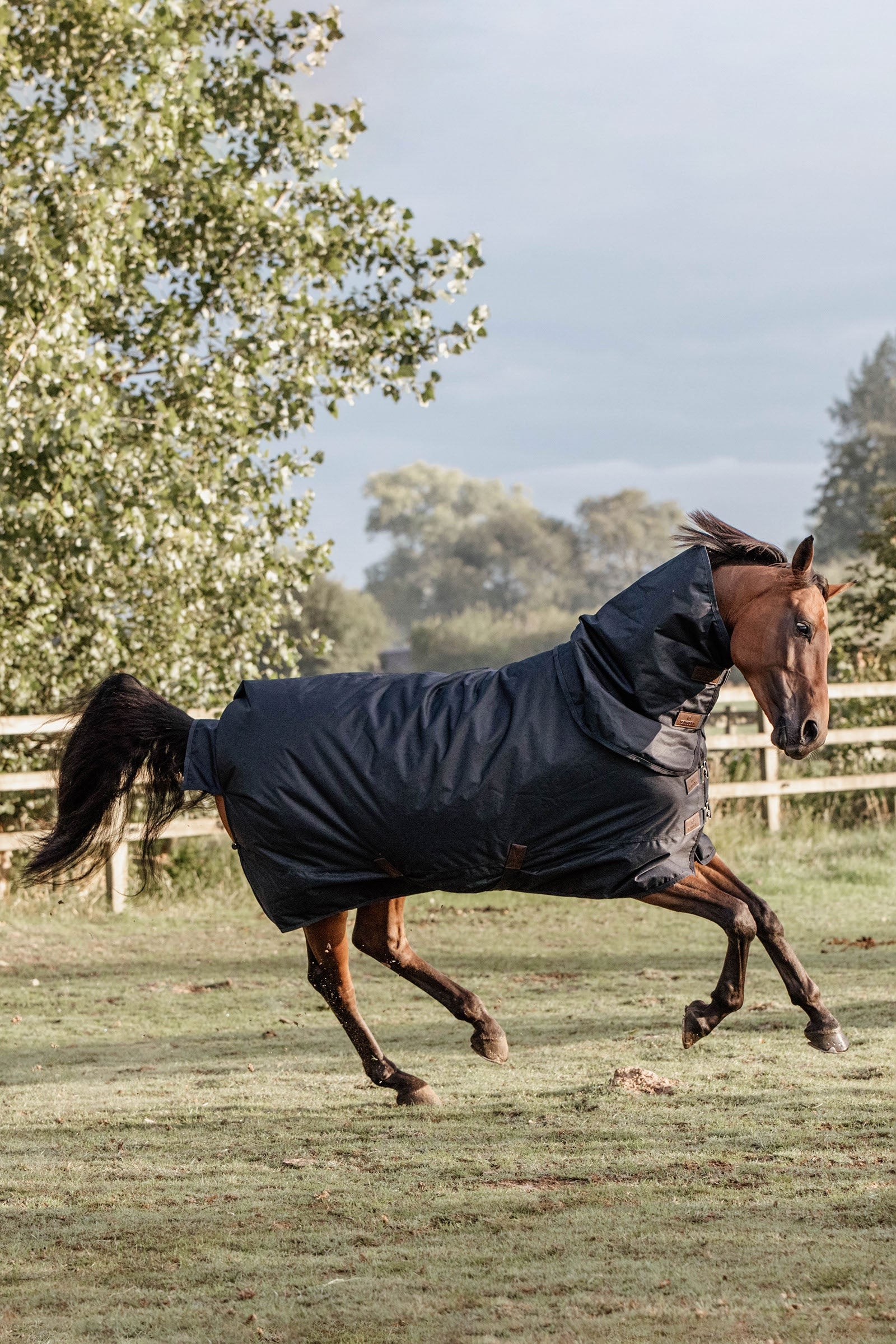 Kentucky Horsewear Tappeto Turnout, impermeabile per tutte le condizioni atmosferiche, classico, 150 g Coperte per cavalli