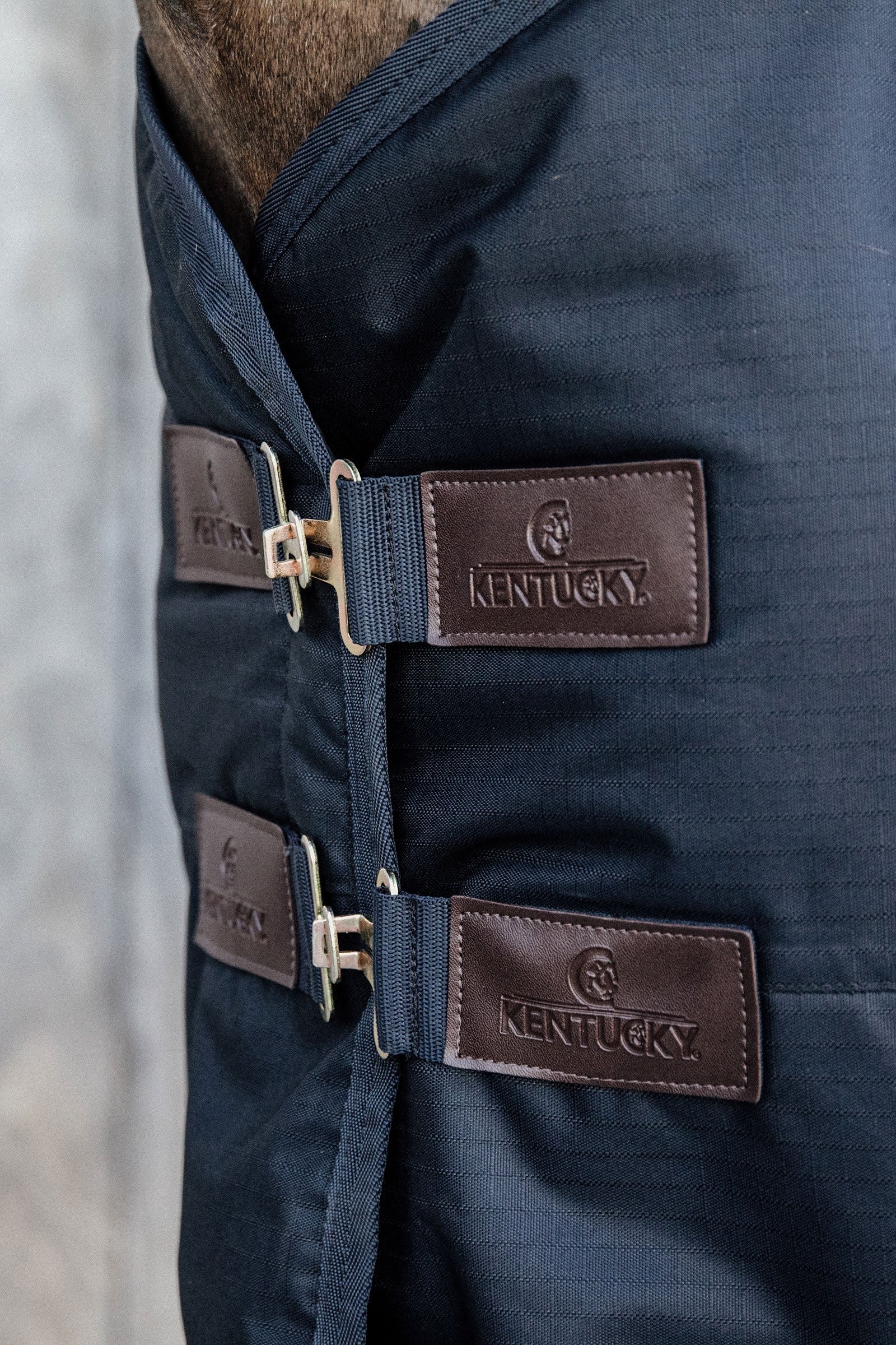 Kentucky Horsewear Turnout Rug All Weather Waterproof Classic, 150g Horse Rugs