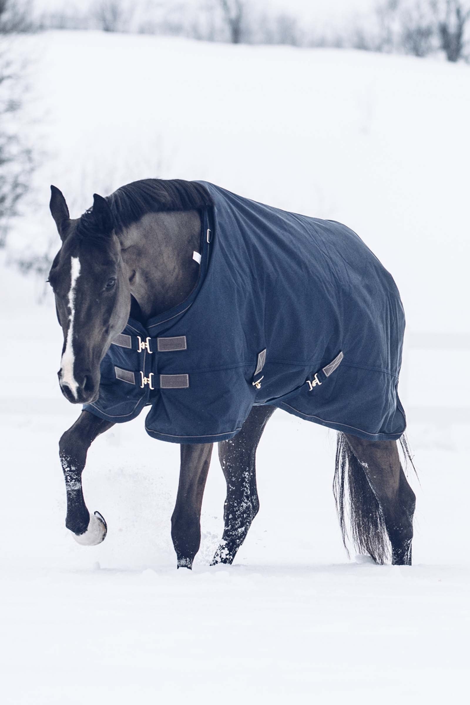 Kentucky Horsewear Turnout Rug All Weather Waterproof Classic, 300g Horse Rugs