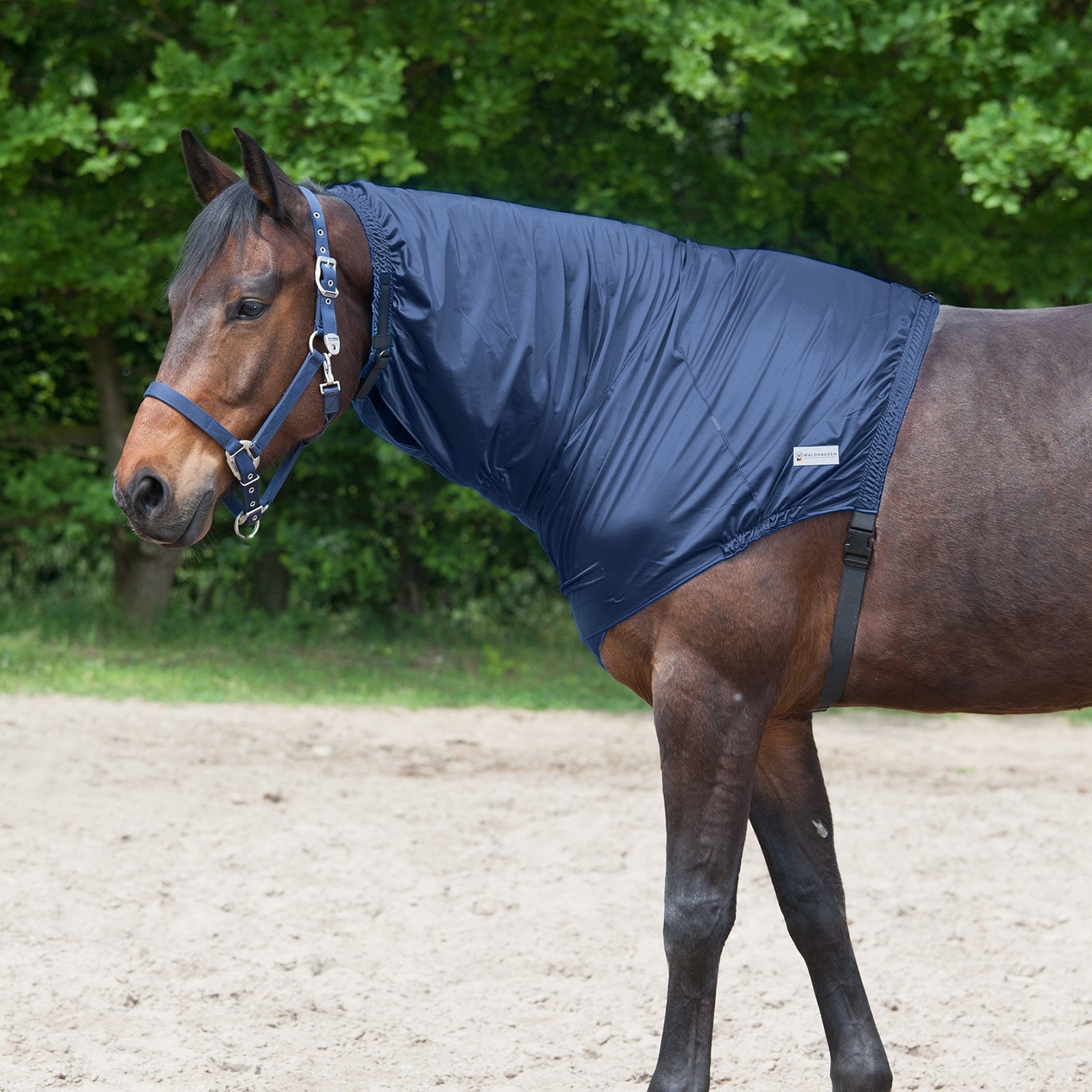 Waldhausen Pezzo da collo per eczema Coperte per cavalli