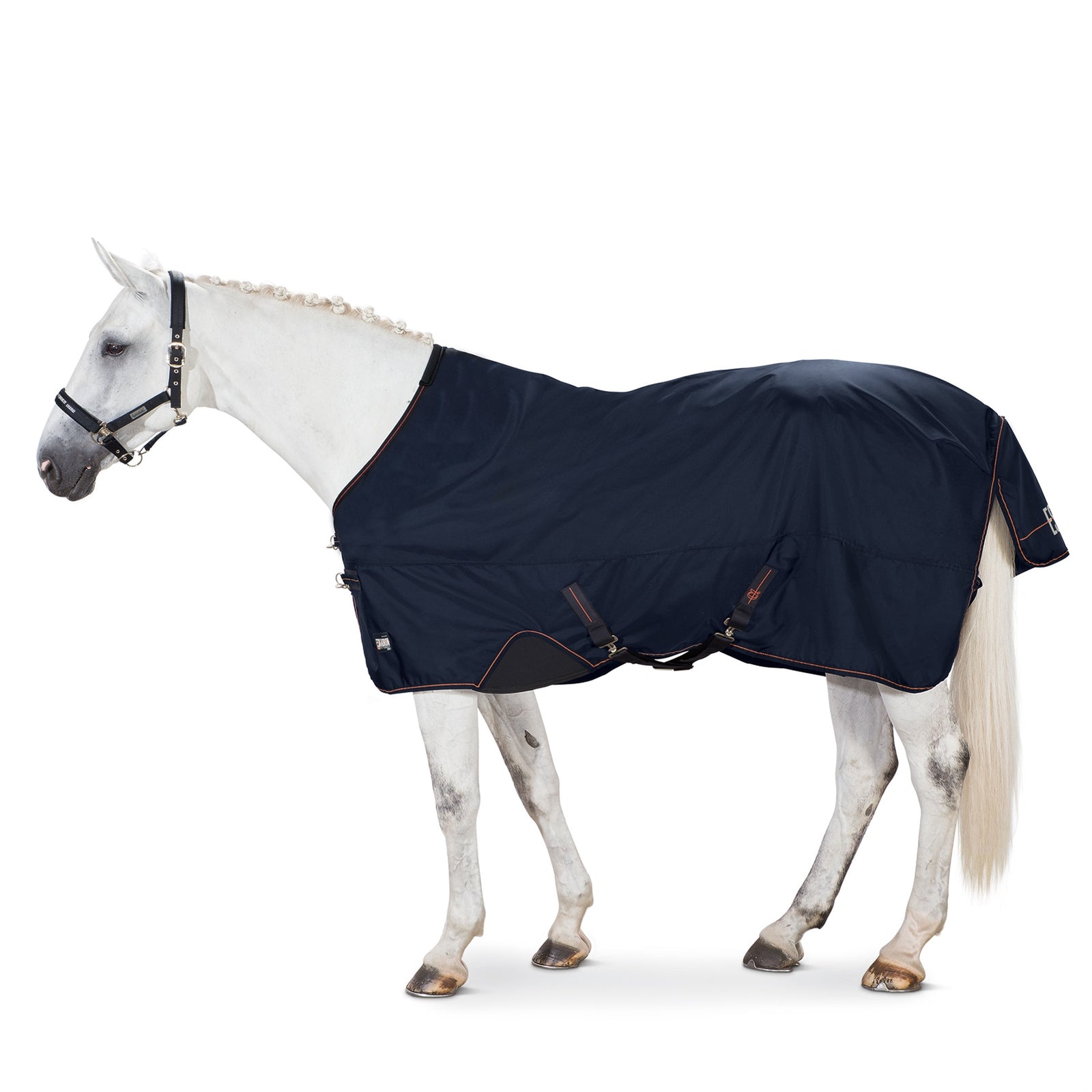 Eskadron Alpha Coperta da turnout, 50 gr Coperte per cavalli