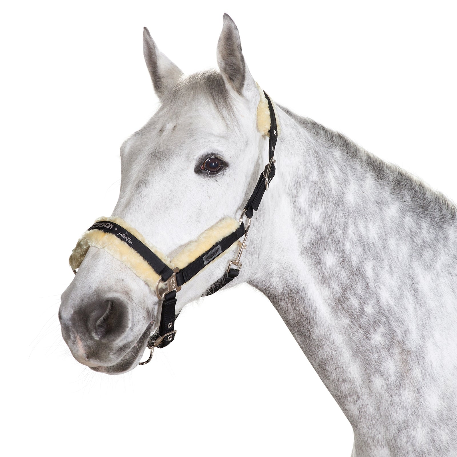 Eskadron Capezza con fibbia ad ardiglione con pelliccia sintetica Cavezze e guinsagli