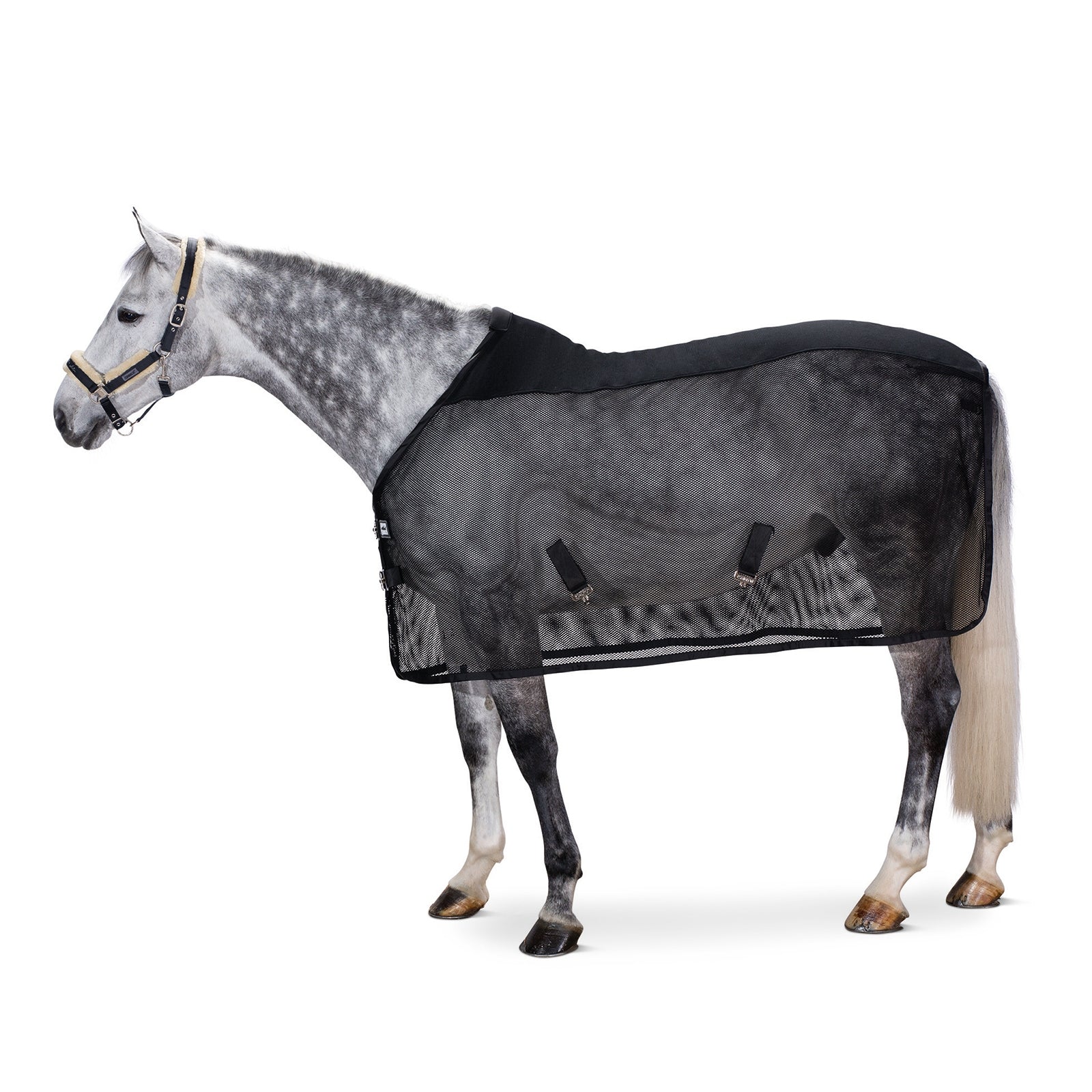 Eskadron Pro Cover Dura Coperta antimosche Coperte per cavalli