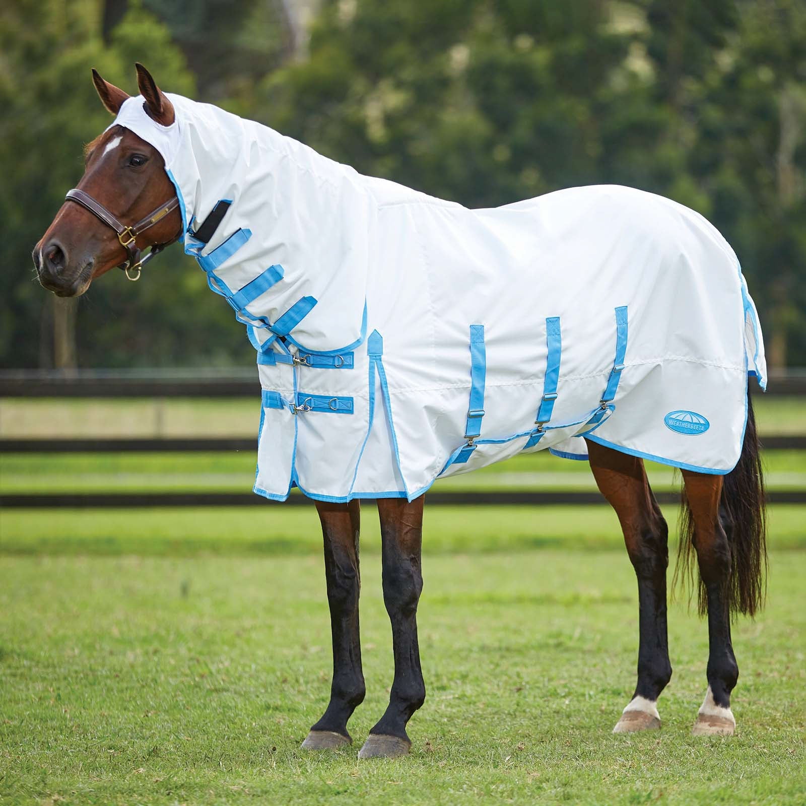 Weatherbeeta Comfitec coperta antidermatiti con collo fisso Coperte per cavalli