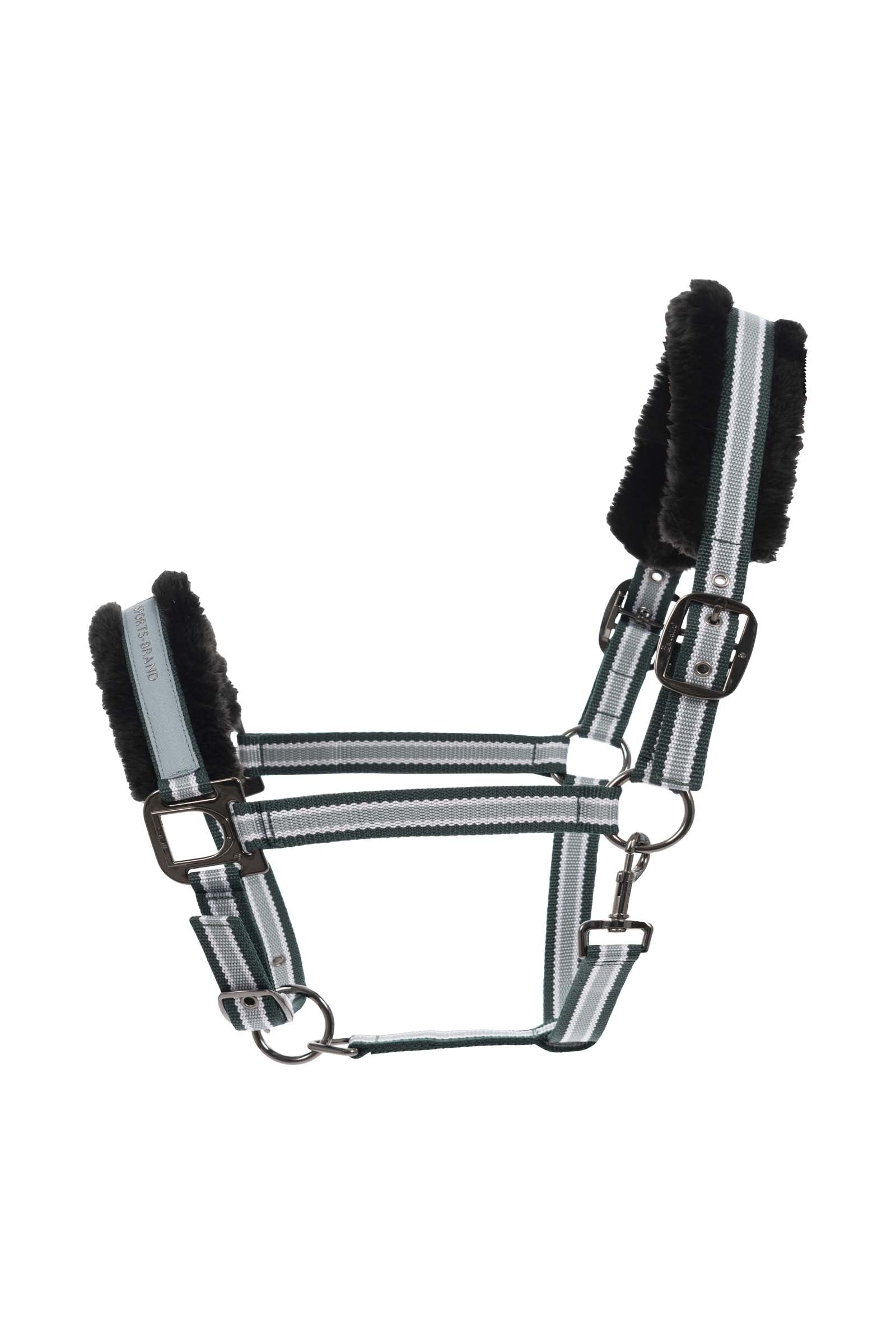 Cavallo CAVALHELIA Halter Cavezze e guinsagli