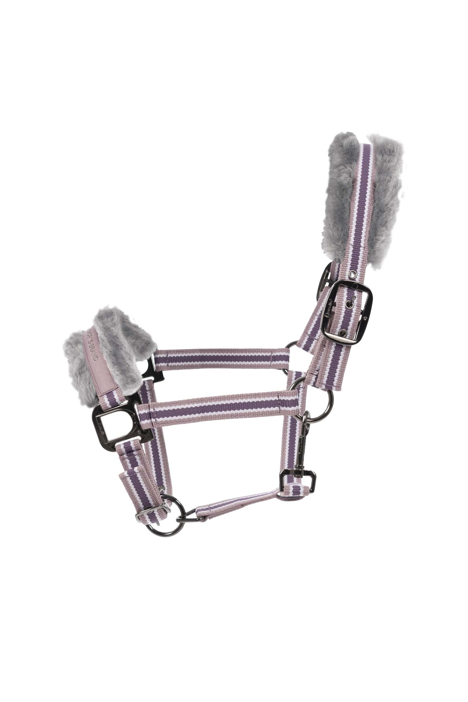 Cavallo CavalHelia Capezza Cavezze e guinsagli