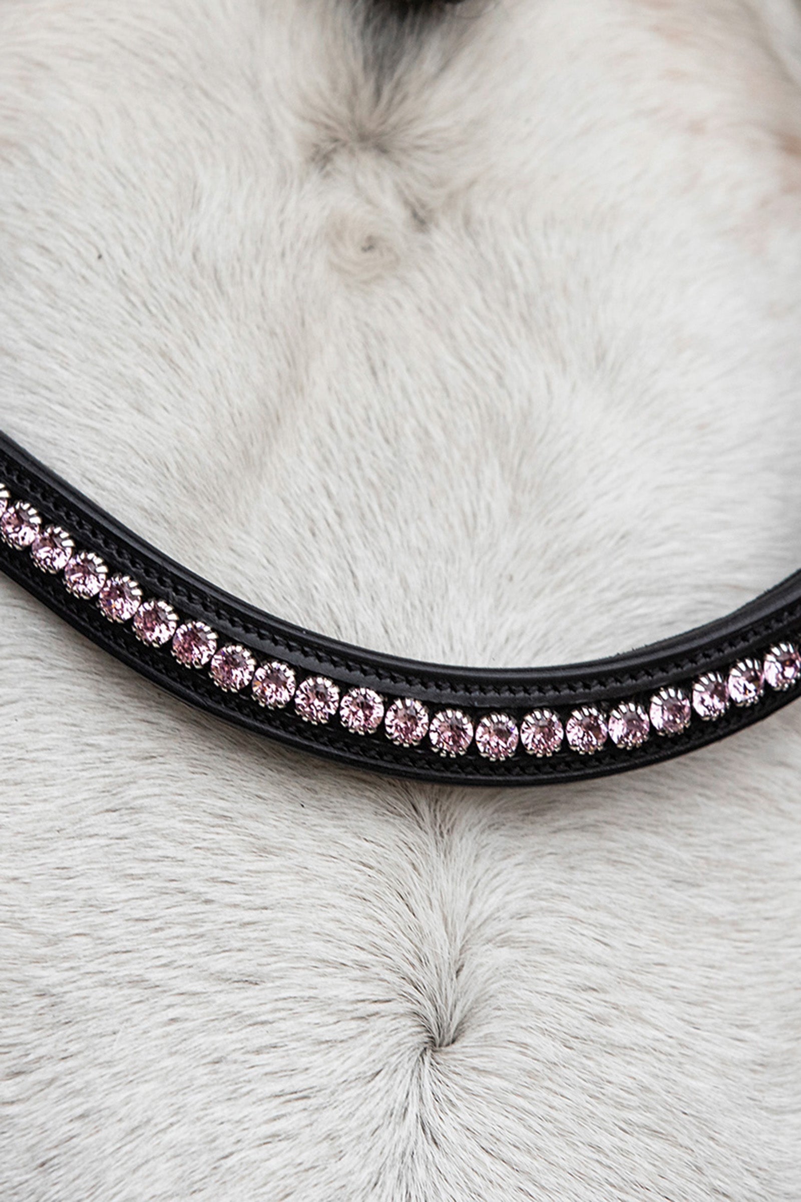 Schockemöhle Sports Diamond Select Browband Bridles & Reins