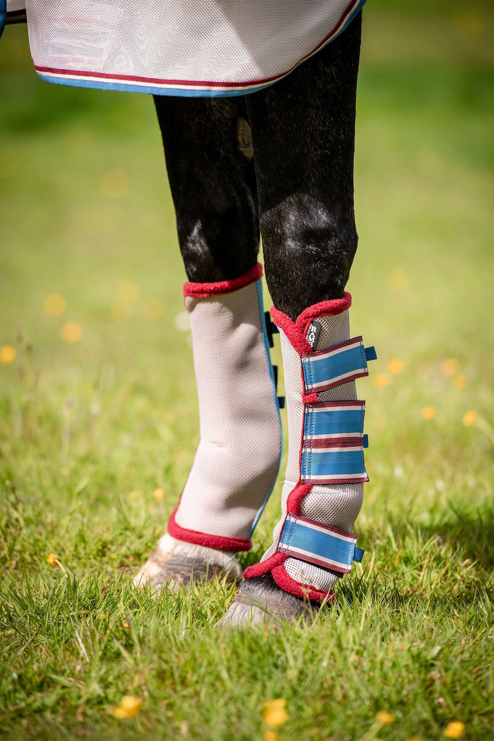 Horseware Rambo Airmesh Fly Travel Boots Protezione antimosche per cavalli